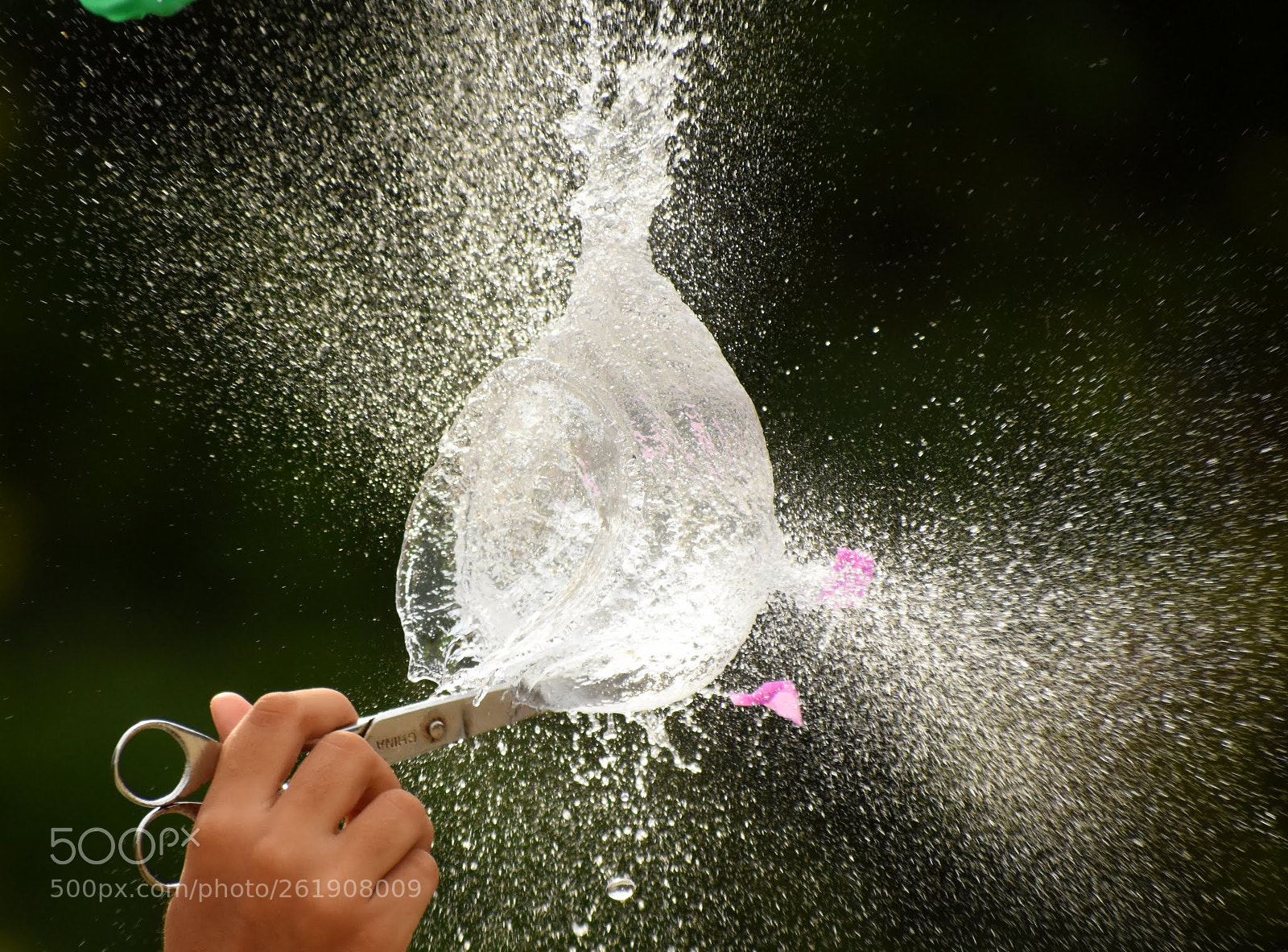 Nikon D7200 sample photo. Untitled photography
