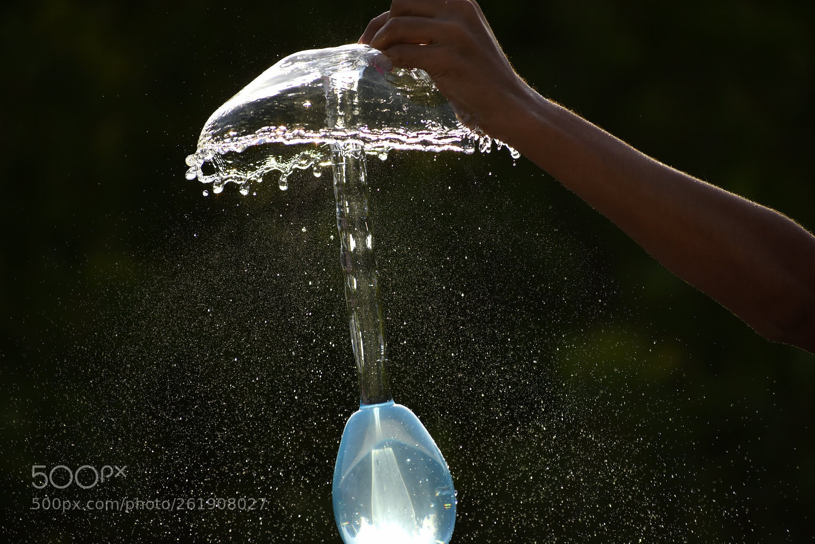 Nikon D7200 sample photo. Untitled photography