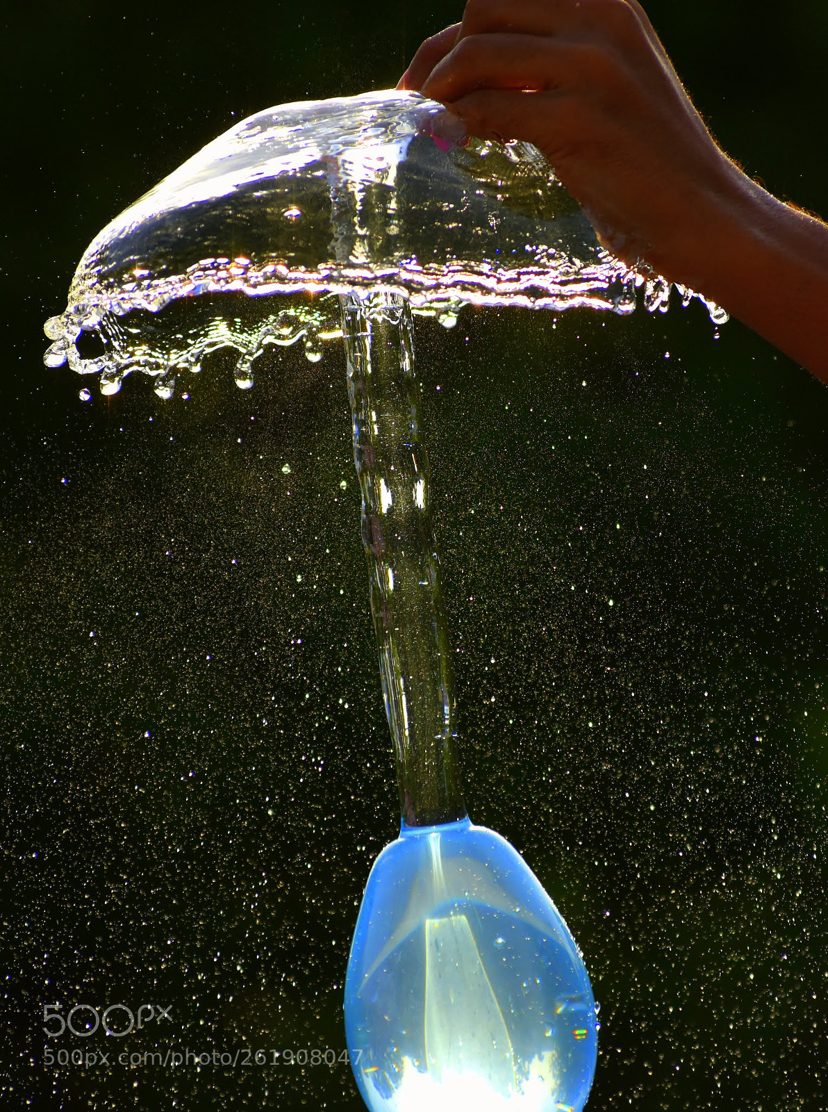 Nikon D7200 sample photo. Untitled photography