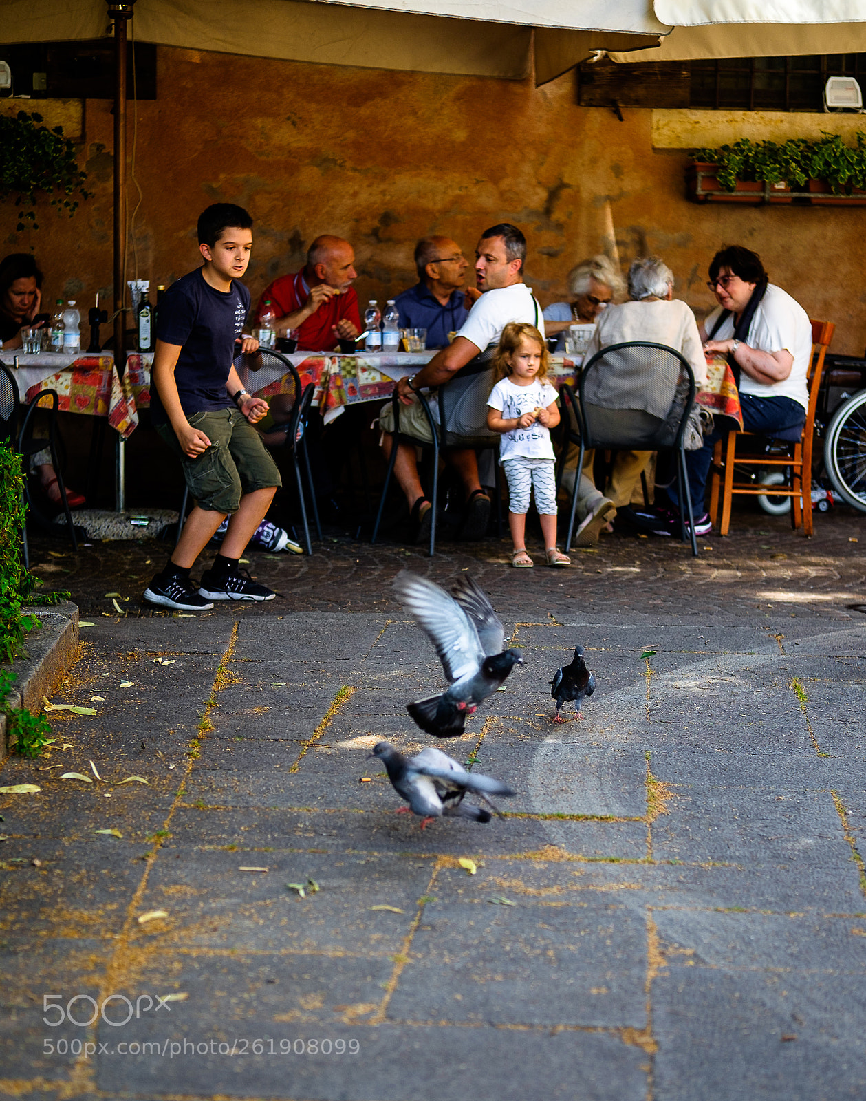Fujifilm X-T10 sample photo. ... volate !!! ... photography