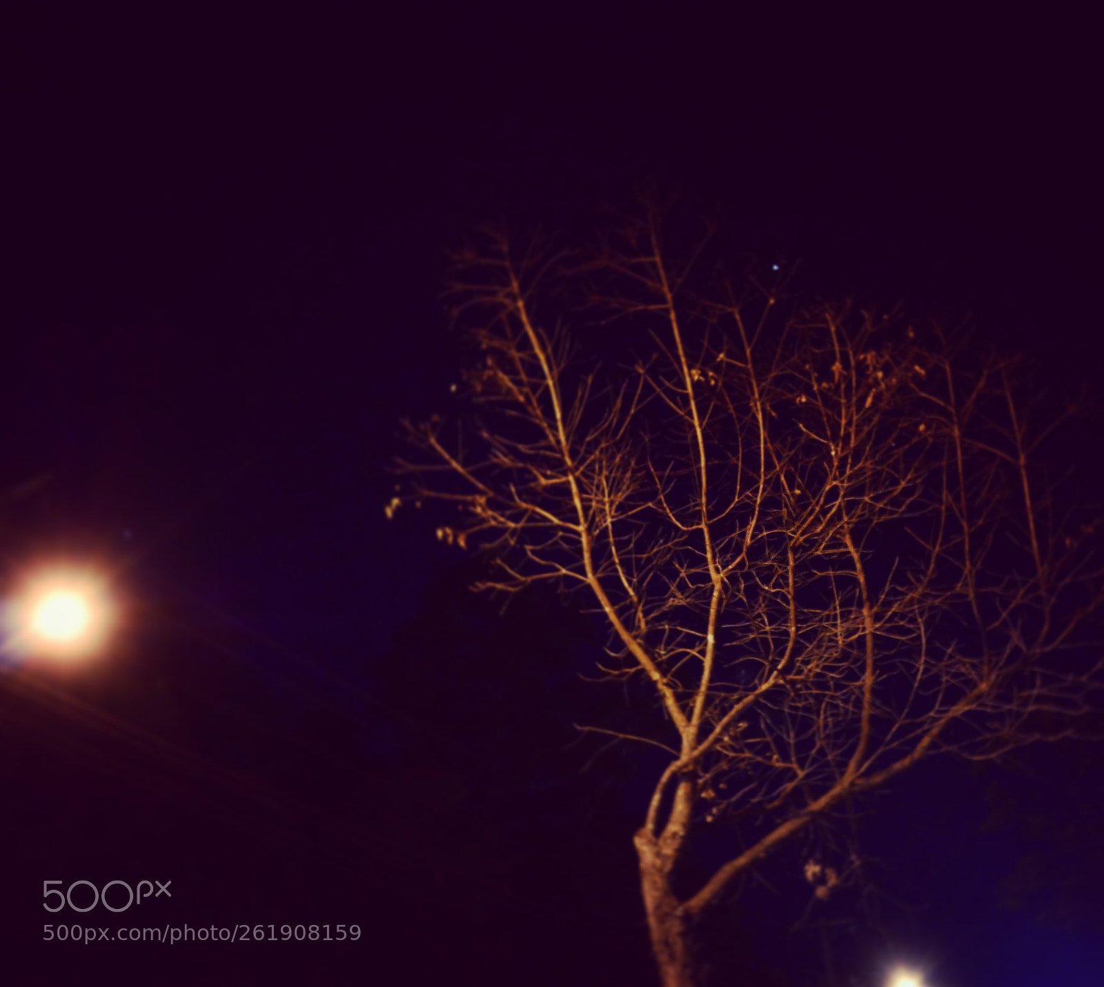 Panasonic Lumix DMC-G7 sample photo. Night walk photography