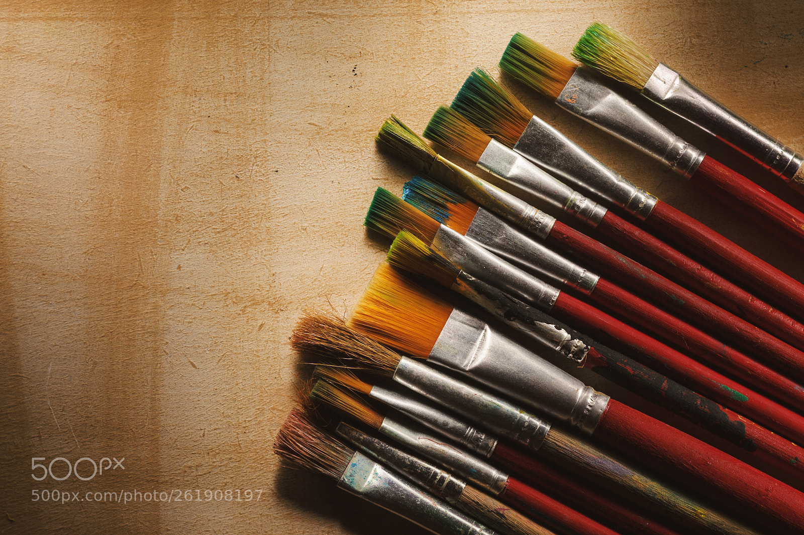 Canon EOS 5D Mark II sample photo. Various used wooden paintbrushes photography