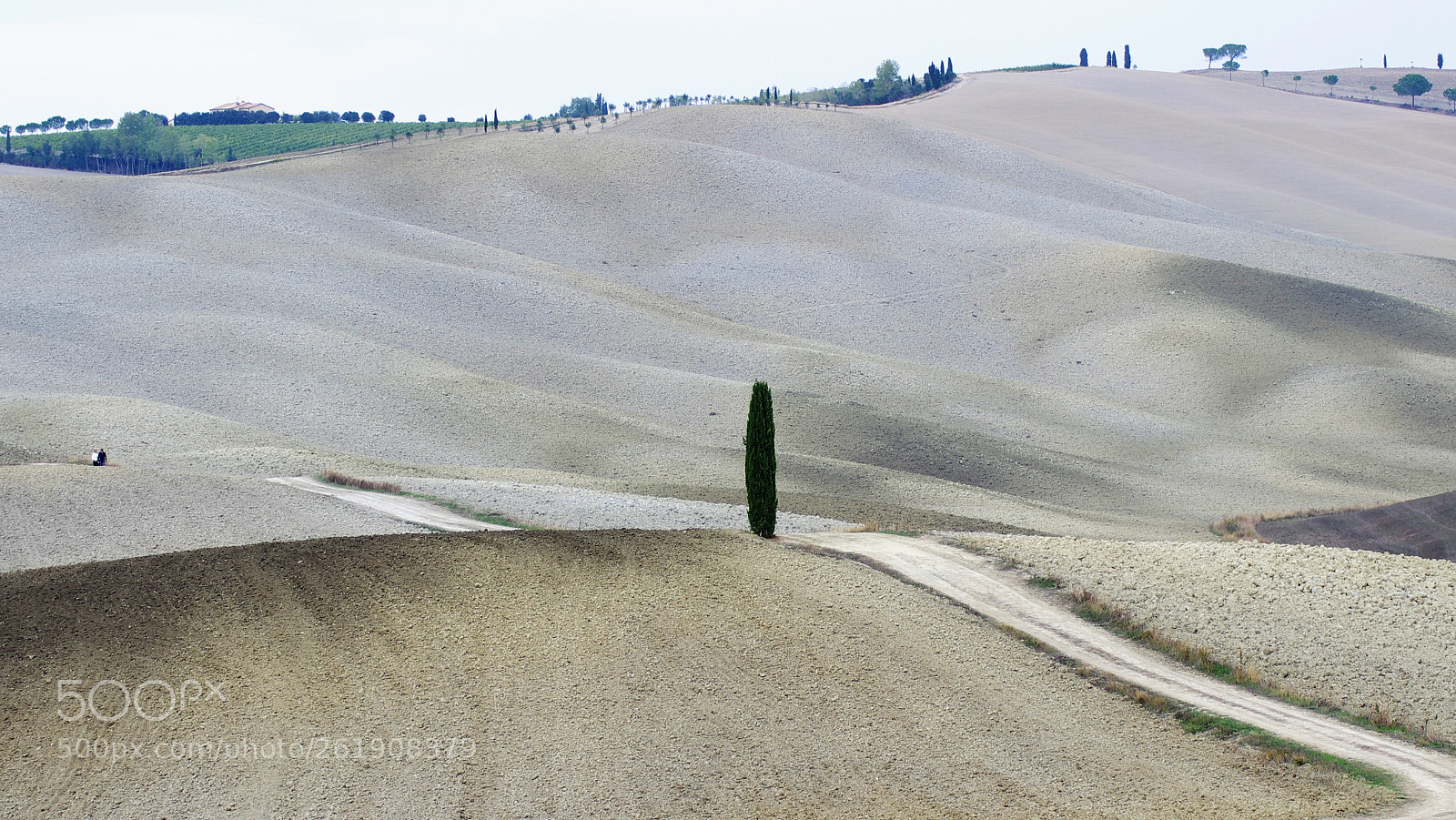 Pentax K-r sample photo. Solo photography