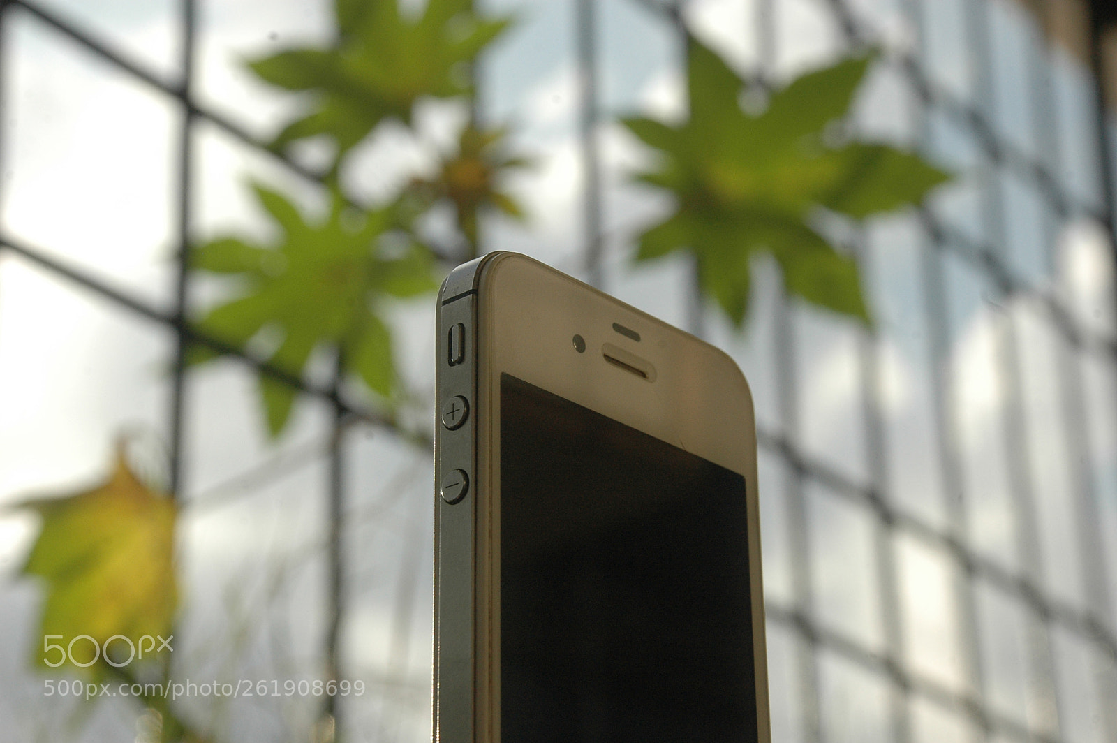 Nikon D70s sample photo. Iphone photography