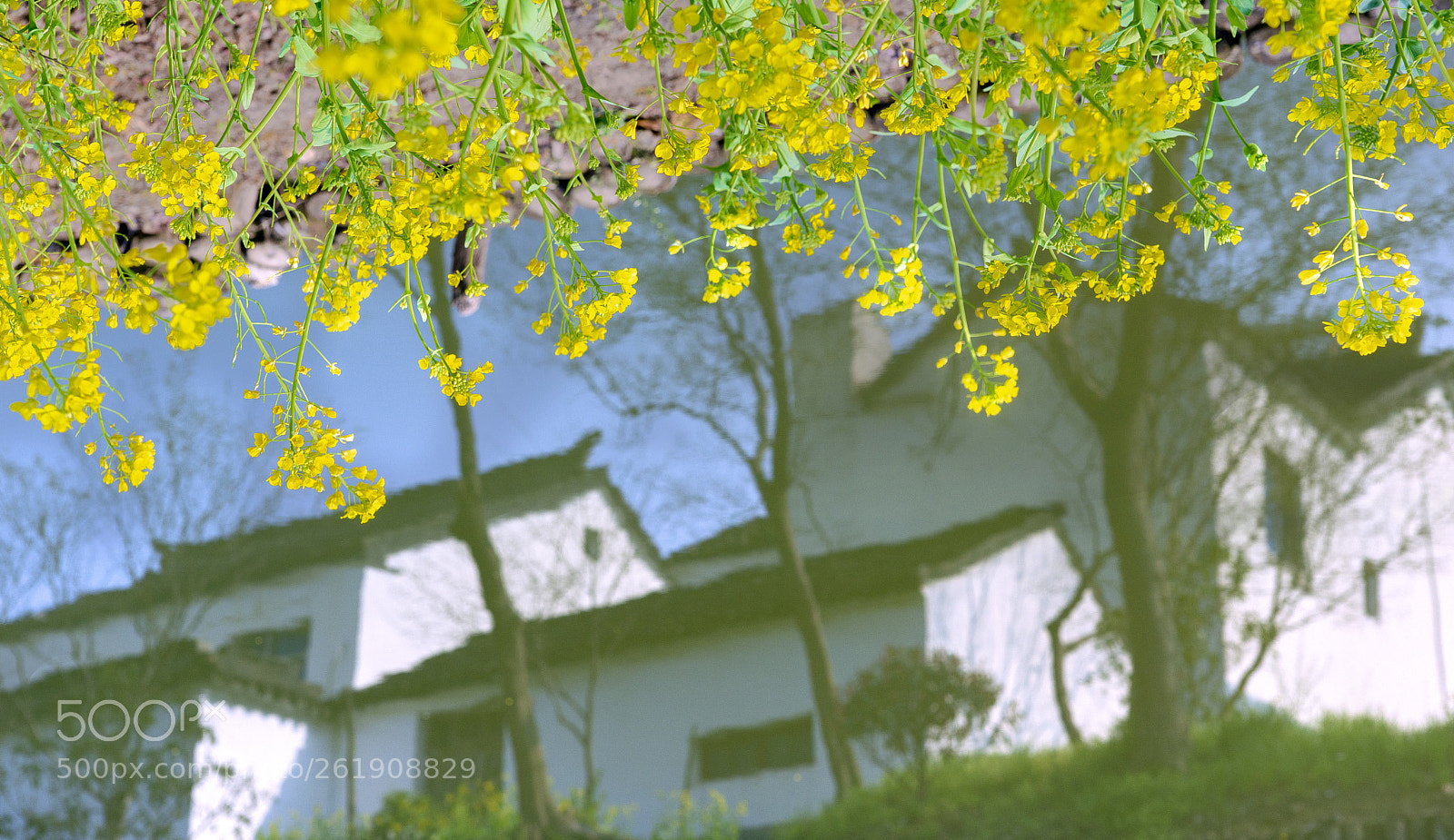 Sony a99 II sample photo. 春色倒影 photography