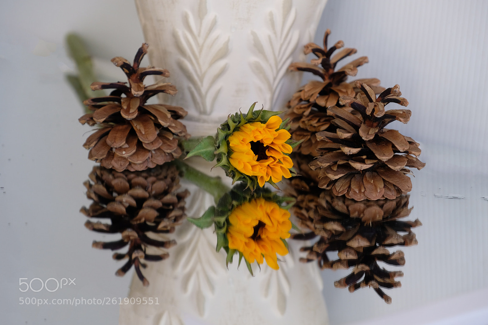 Fujifilm X-T2 sample photo. Tiny sunflowers  photography
