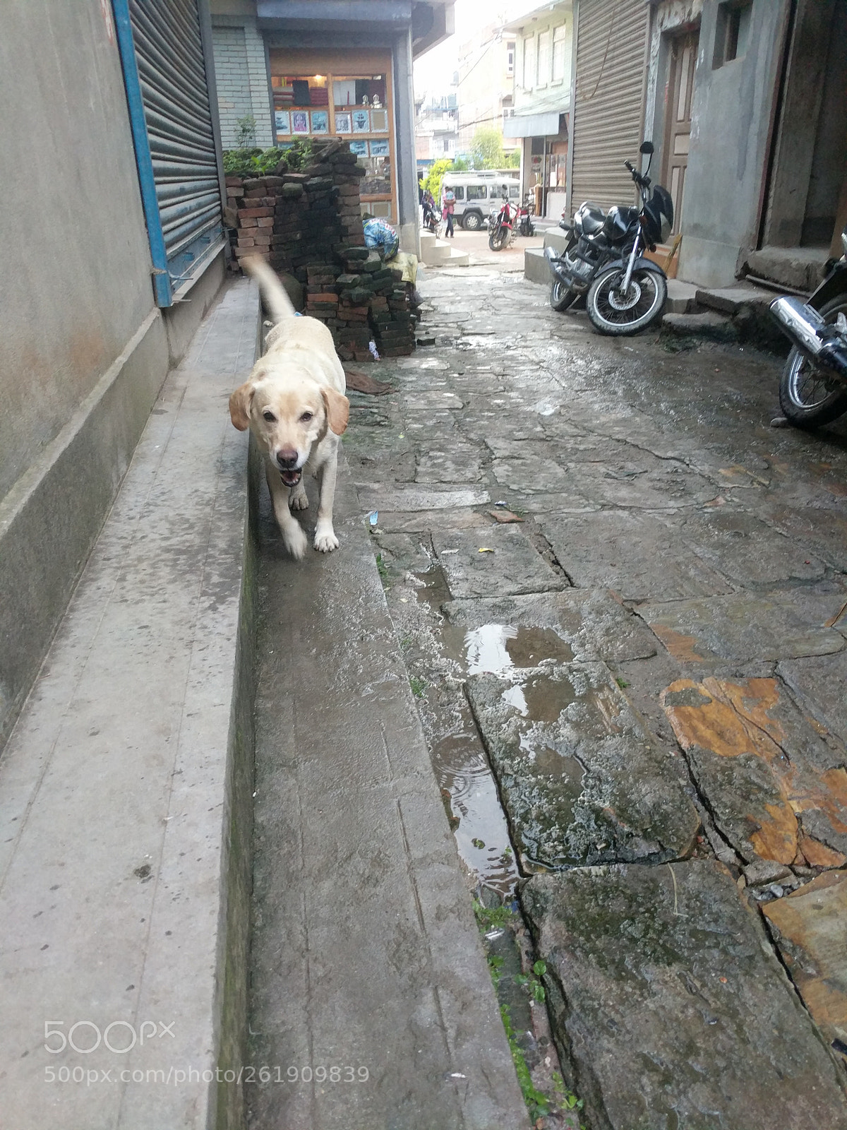 Google Pixel XL sample photo. Untitled photography