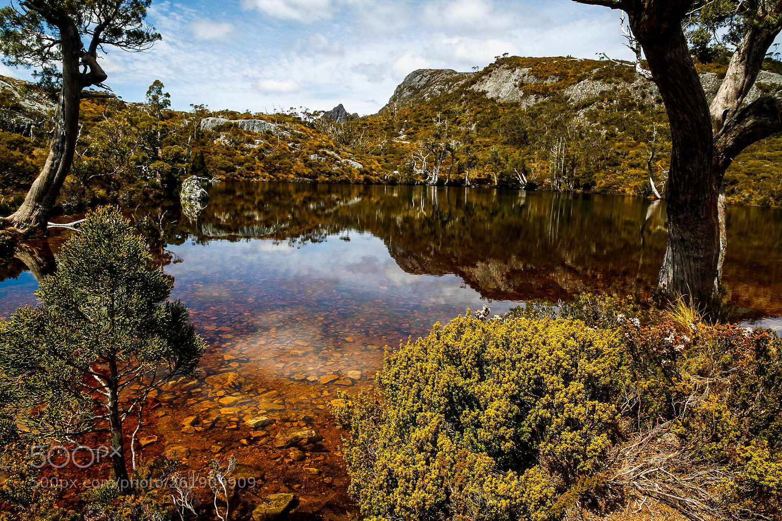 Canon EOS 7D sample photo. Wombat pool photography