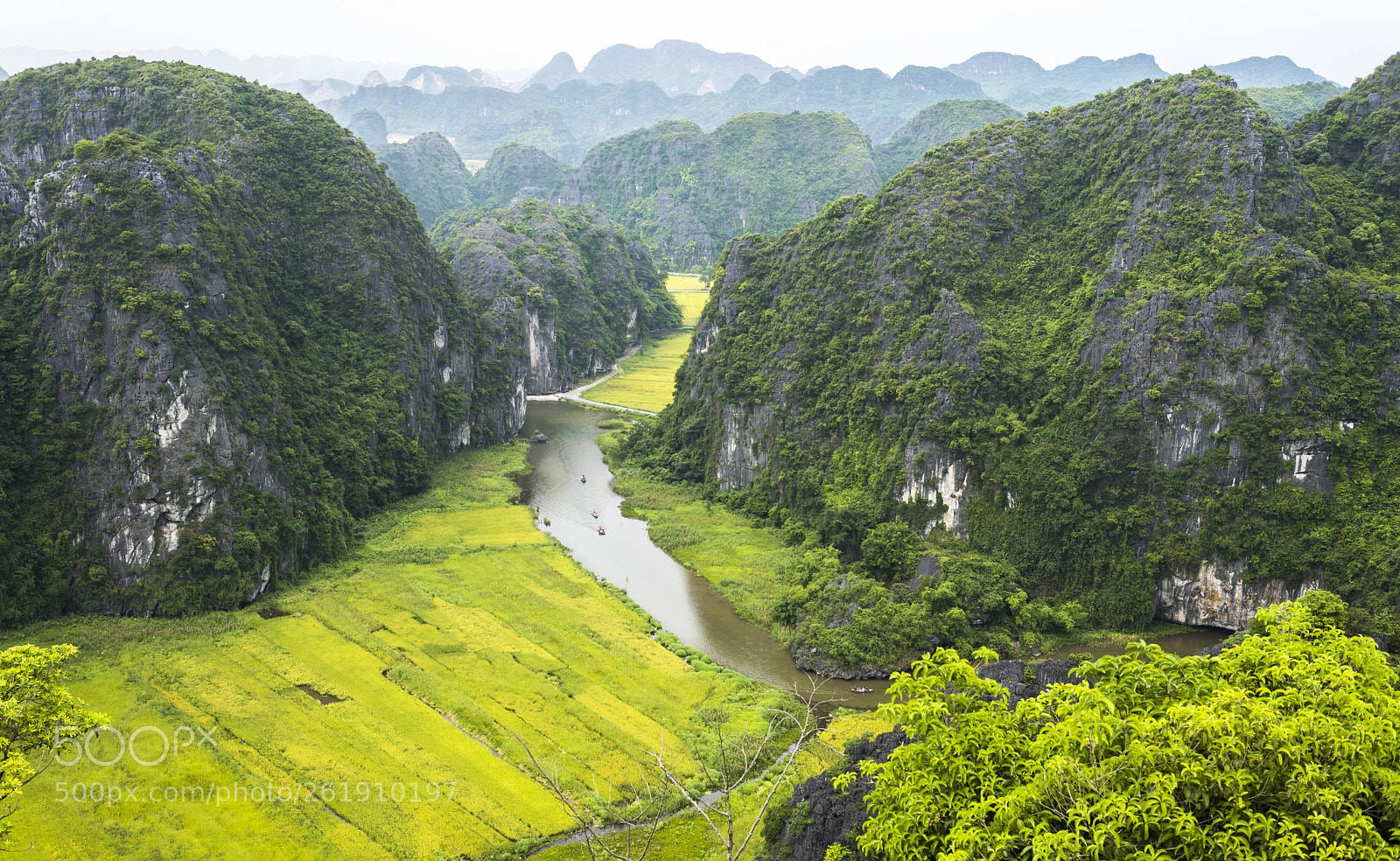 Nikon D600 sample photo. Ngô Đồng river photography