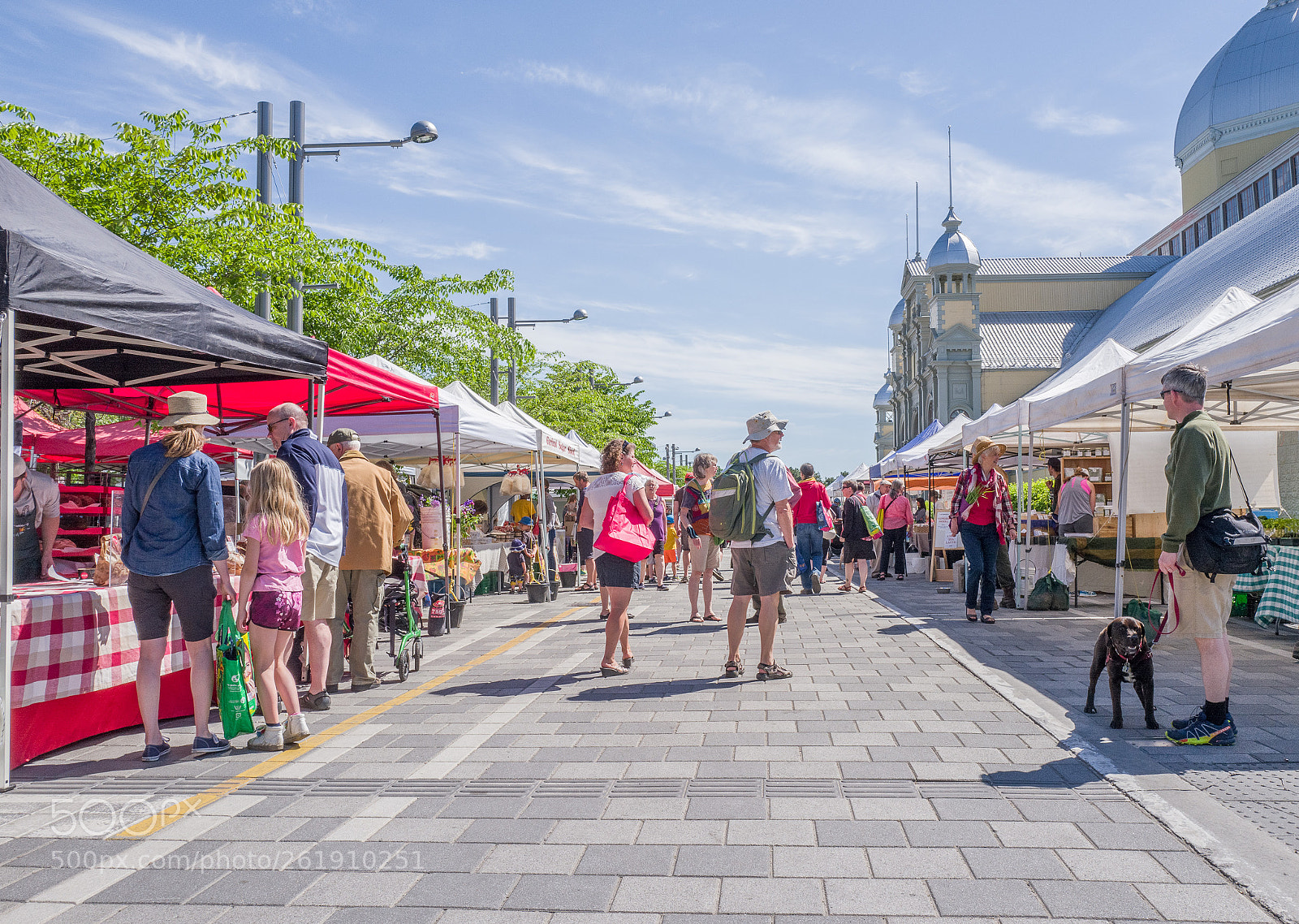 Leica Q (Typ 116) sample photo. The famous farmer's market photography