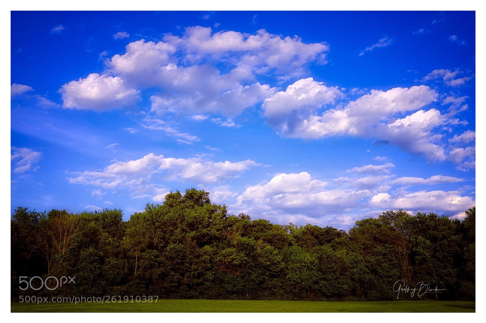Fujifilm X-Pro2 sample photo. The park photography