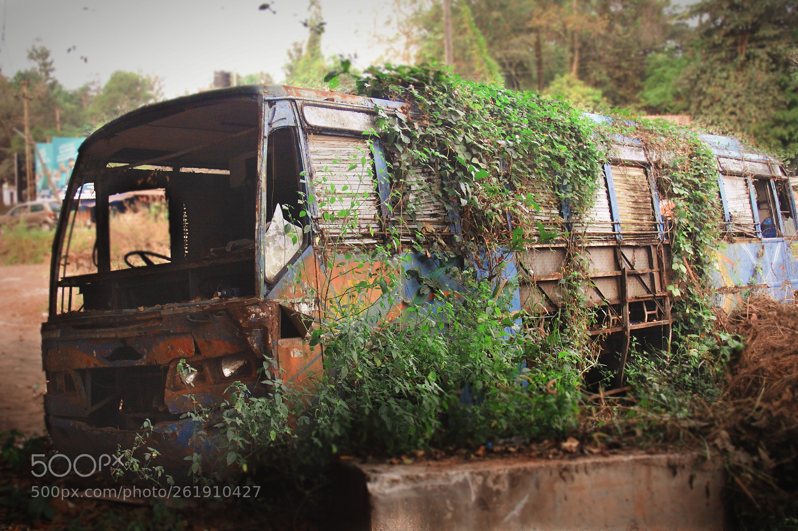 Canon EOS 550D (EOS Rebel T2i / EOS Kiss X4) sample photo. Taliparamba, kerala photography