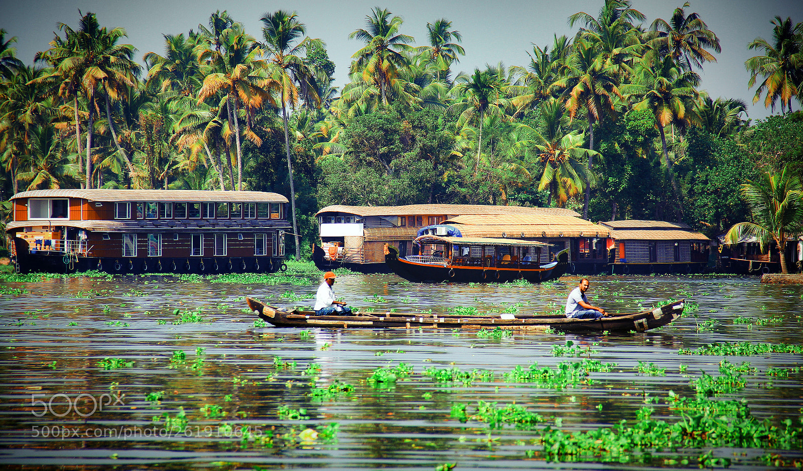 Canon EOS 550D (EOS Rebel T2i / EOS Kiss X4) sample photo. Houseboats, allepey, kerala photography