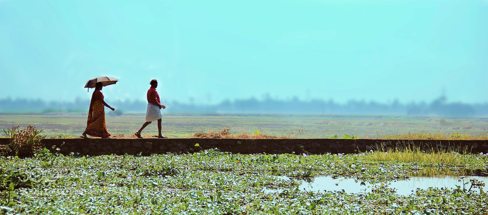 Canon EOS 550D (EOS Rebel T2i / EOS Kiss X4) sample photo. Allepey, kerala photography