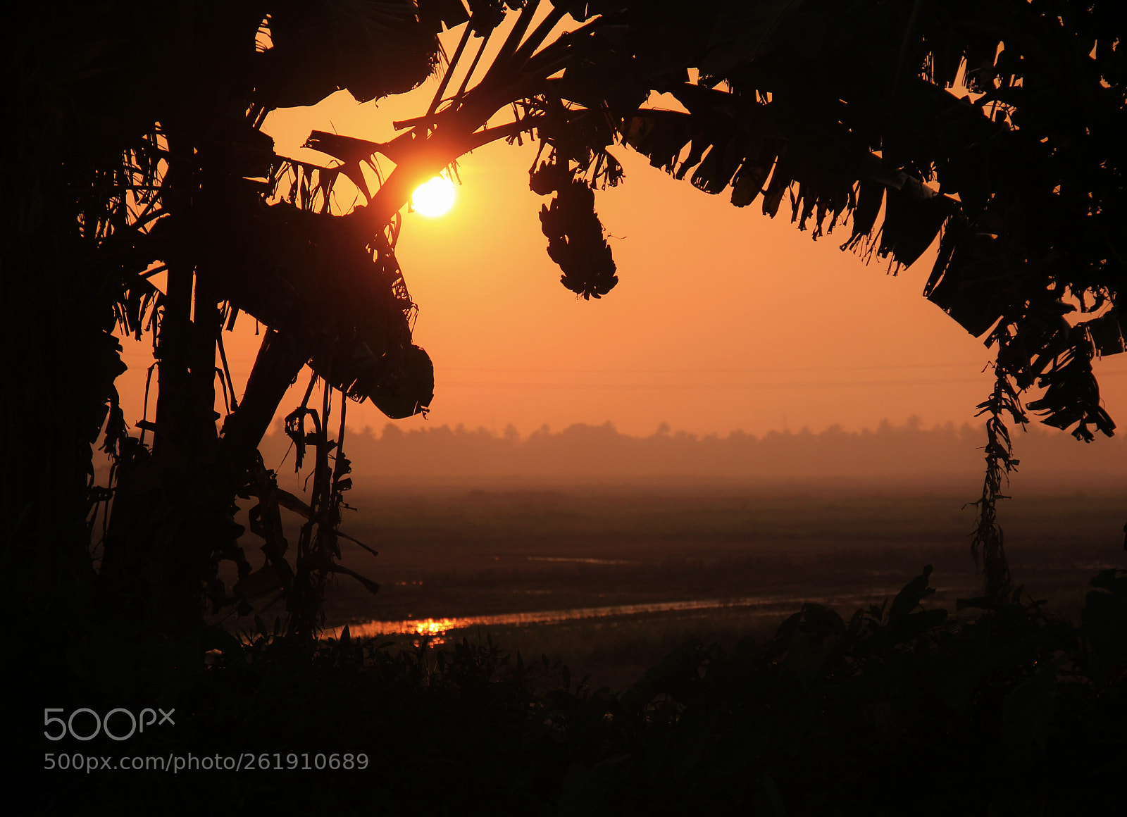 Canon EOS 550D (EOS Rebel T2i / EOS Kiss X4) sample photo. Kerala photography