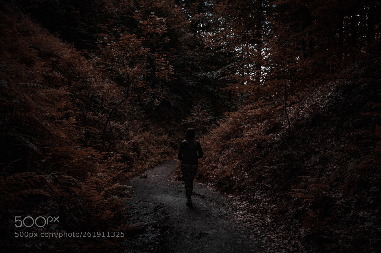 Canon EOS 750D (EOS Rebel T6i / EOS Kiss X8i) sample photo. Alone in the dark. photography