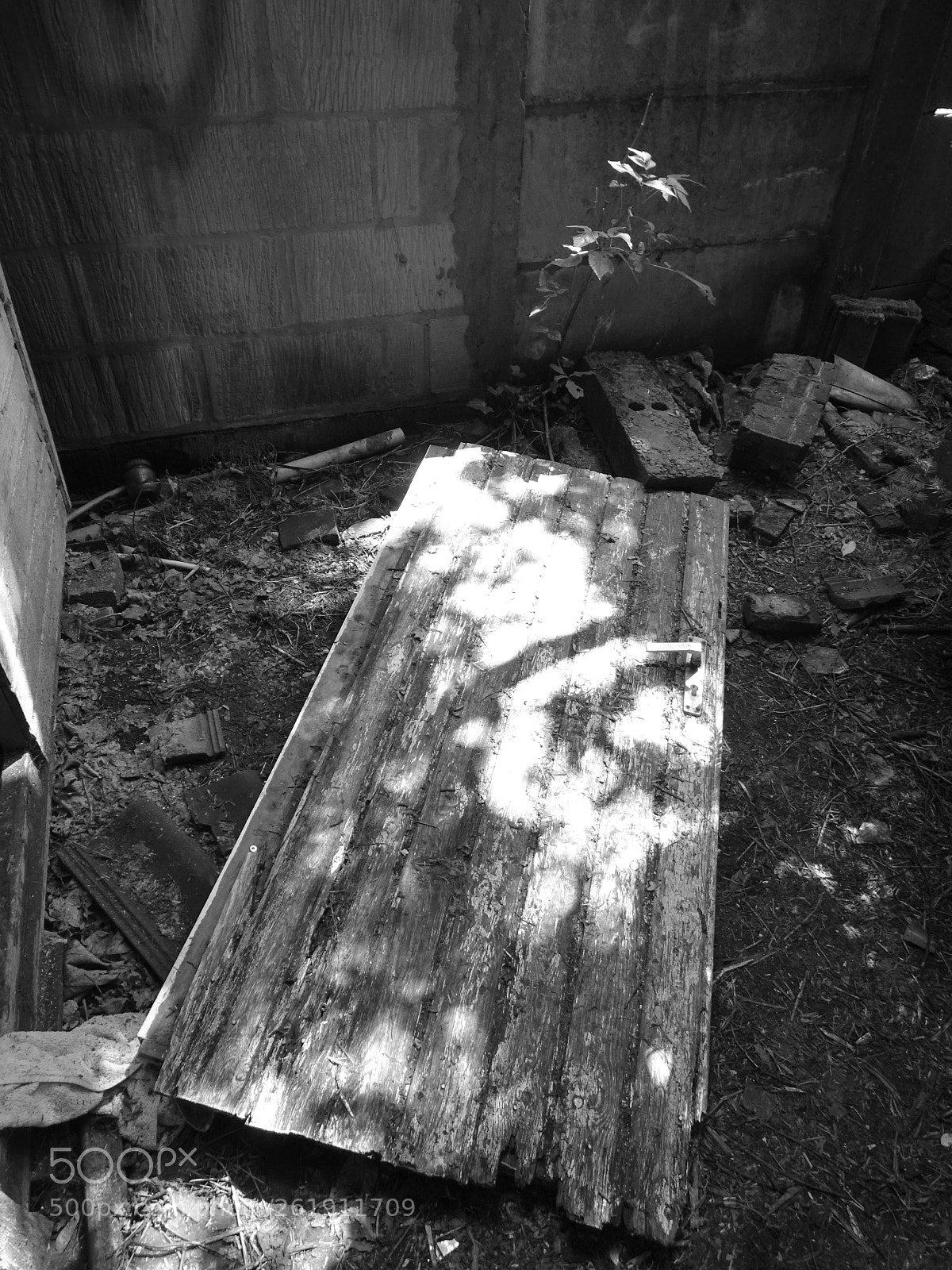 Sony Cyber-shot DSC-HX400V sample photo. Untitled photography