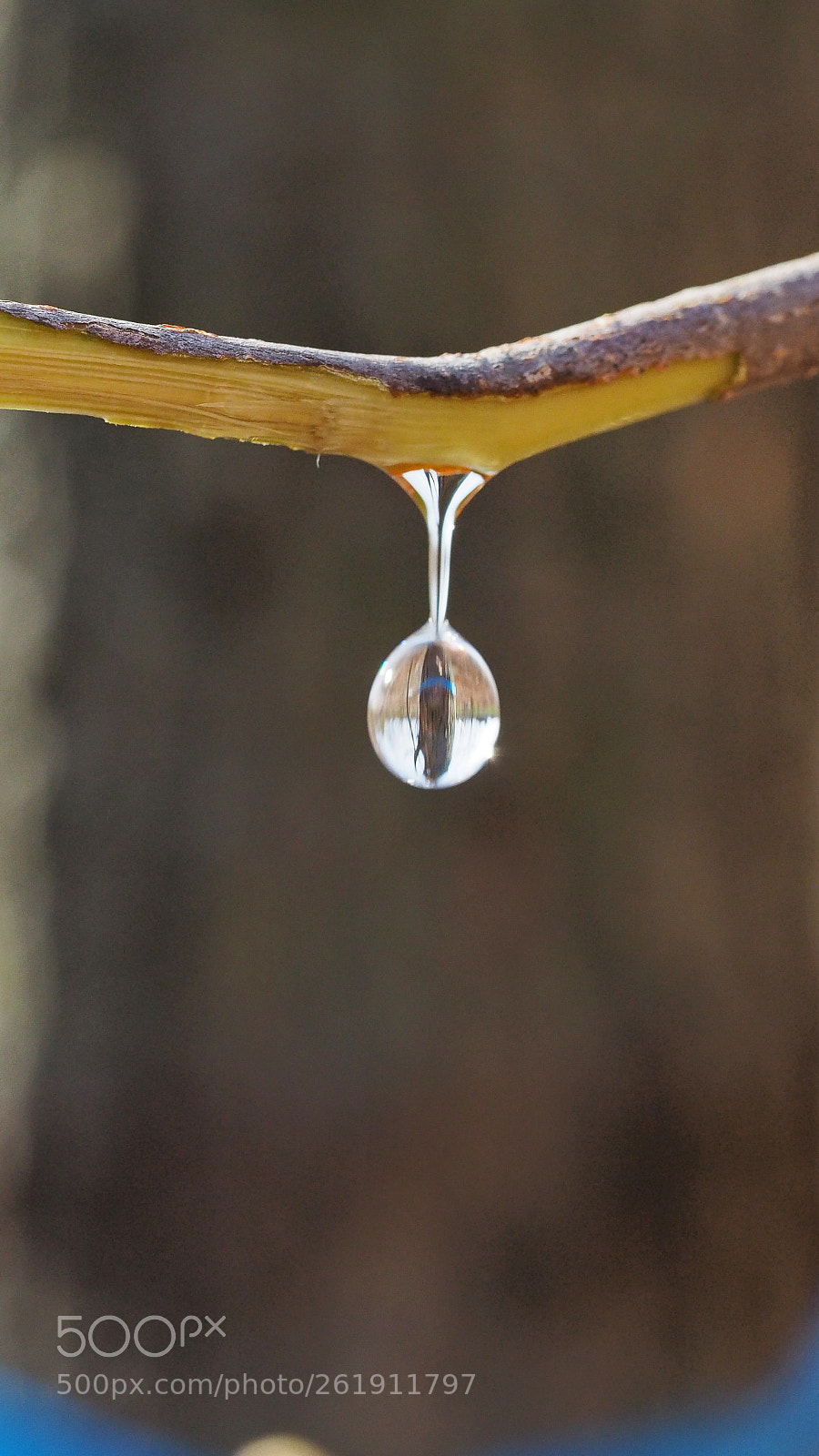 Olympus OM-D E-M5 II sample photo. The drop photography