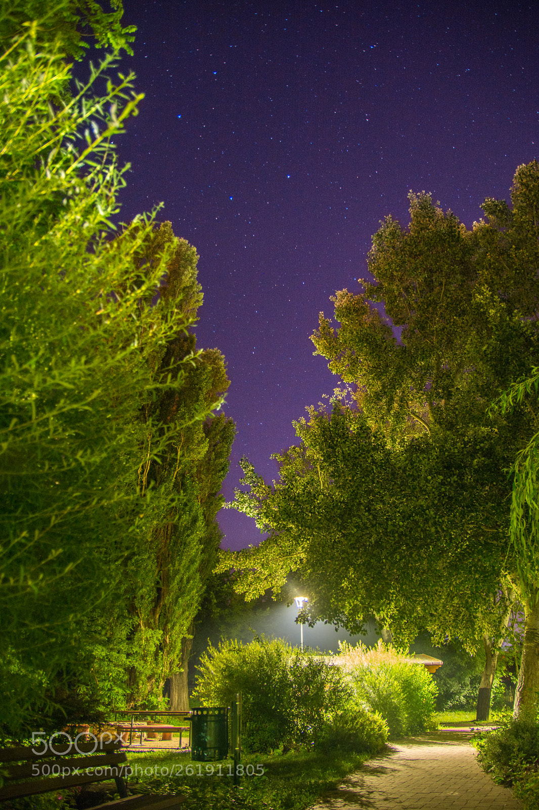 Nikon D7100 sample photo. Calm night with stars photography