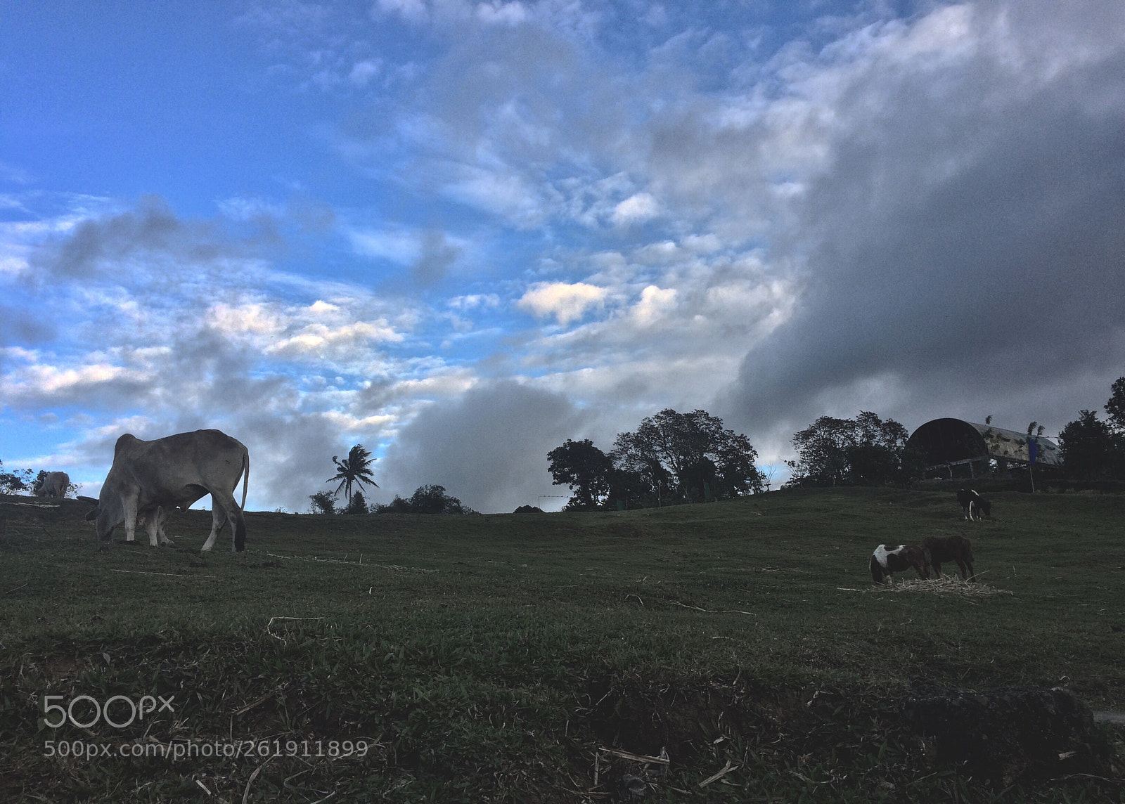 Apple iPhone 5s sample photo. On a farmaway land photography