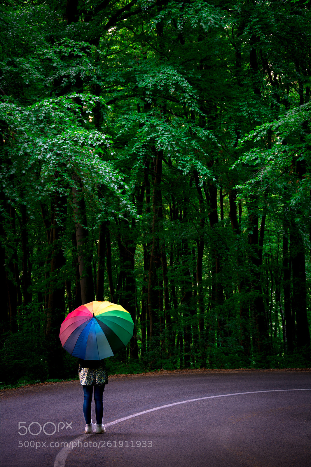 Nikon D7100 sample photo. Dark mood in forest photography