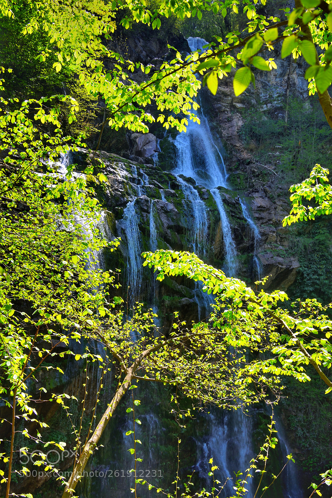 Nikon D7200 sample photo. Untitled photography
