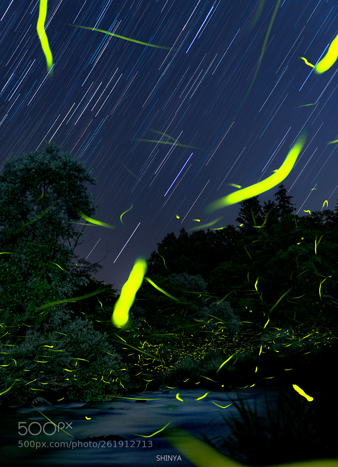Nikon D750 sample photo. Light dance photography