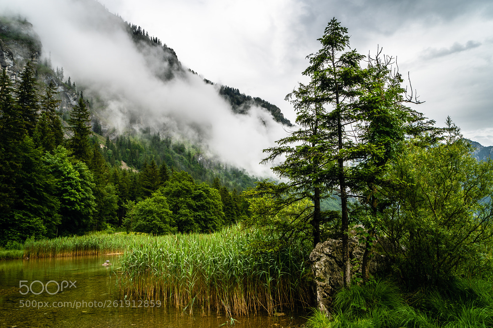 Sony a7 III sample photo. Low hanging clouds photography