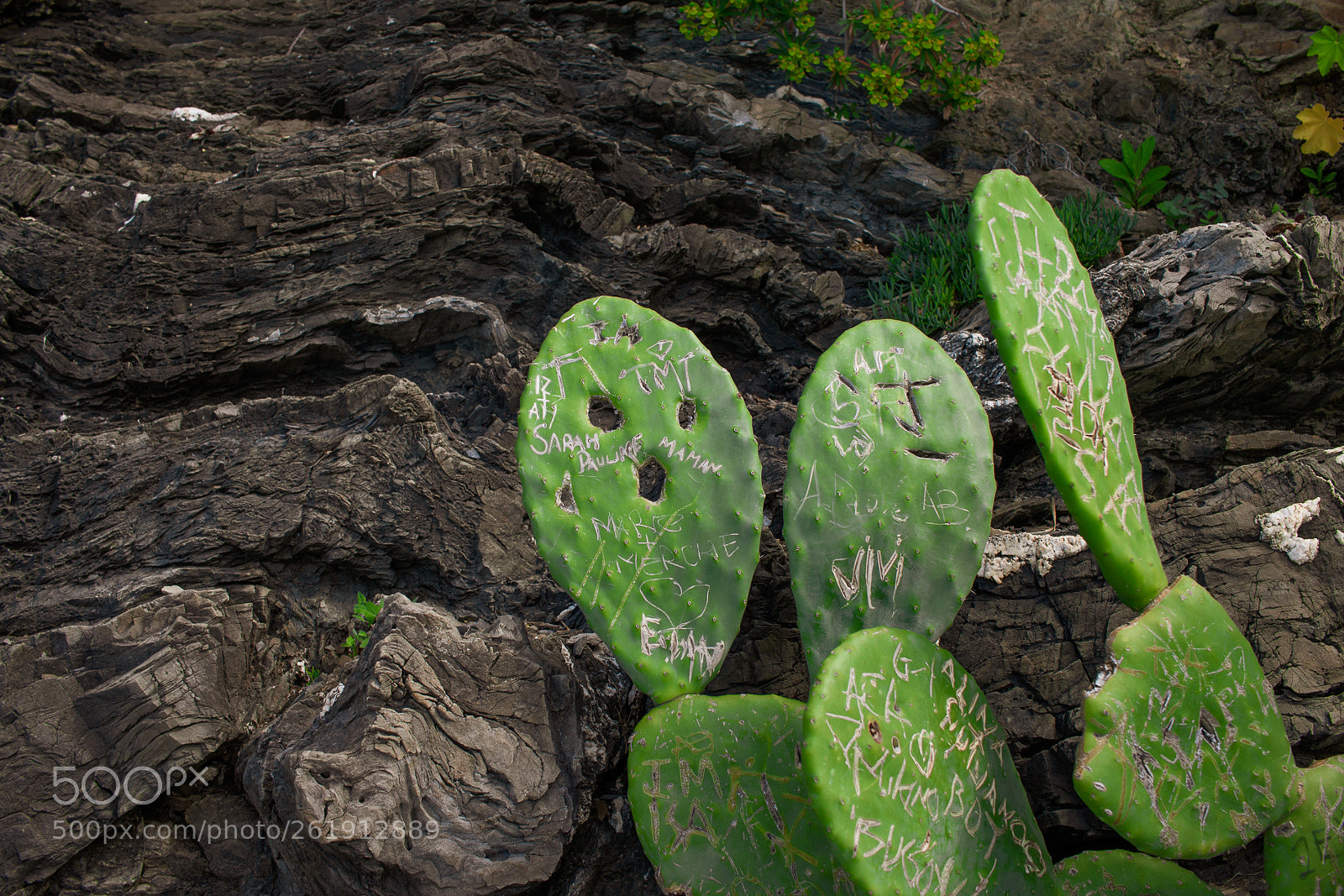 Canon EOS 70D sample photo. Memories photography