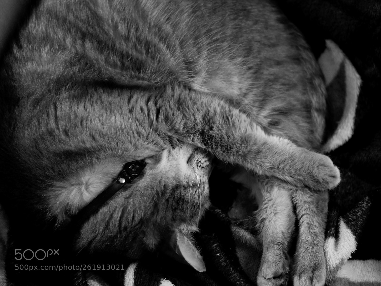 Canon EOS 80D sample photo. Untitled photography