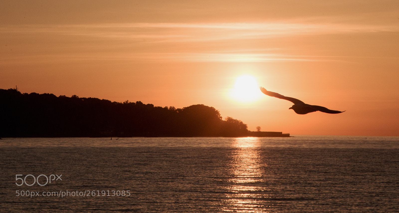 Canon EOS 70D sample photo. Sunrise at ashbridges bay photography