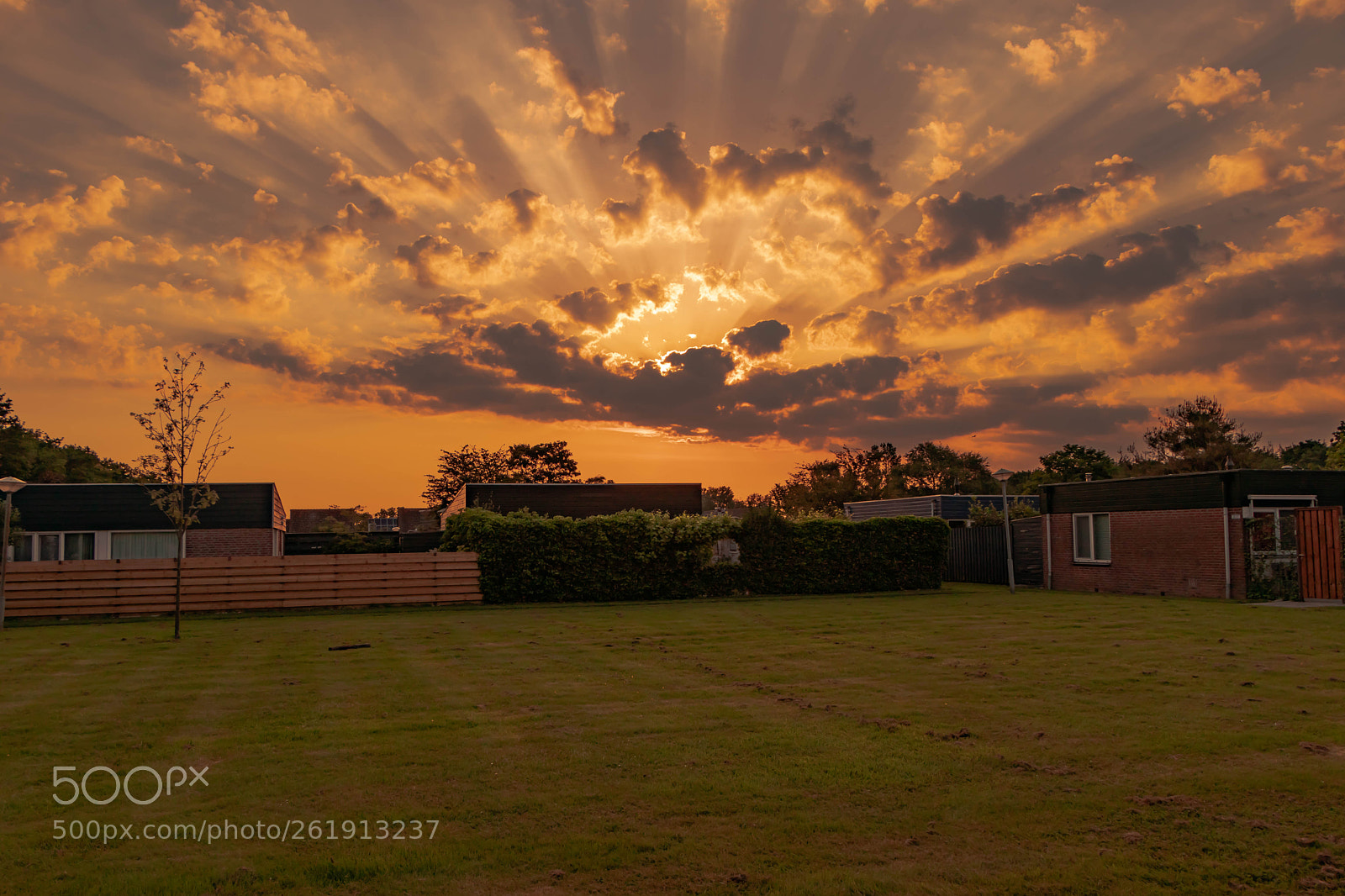Canon EOS 80D sample photo. Sunsrise duinschoten photography