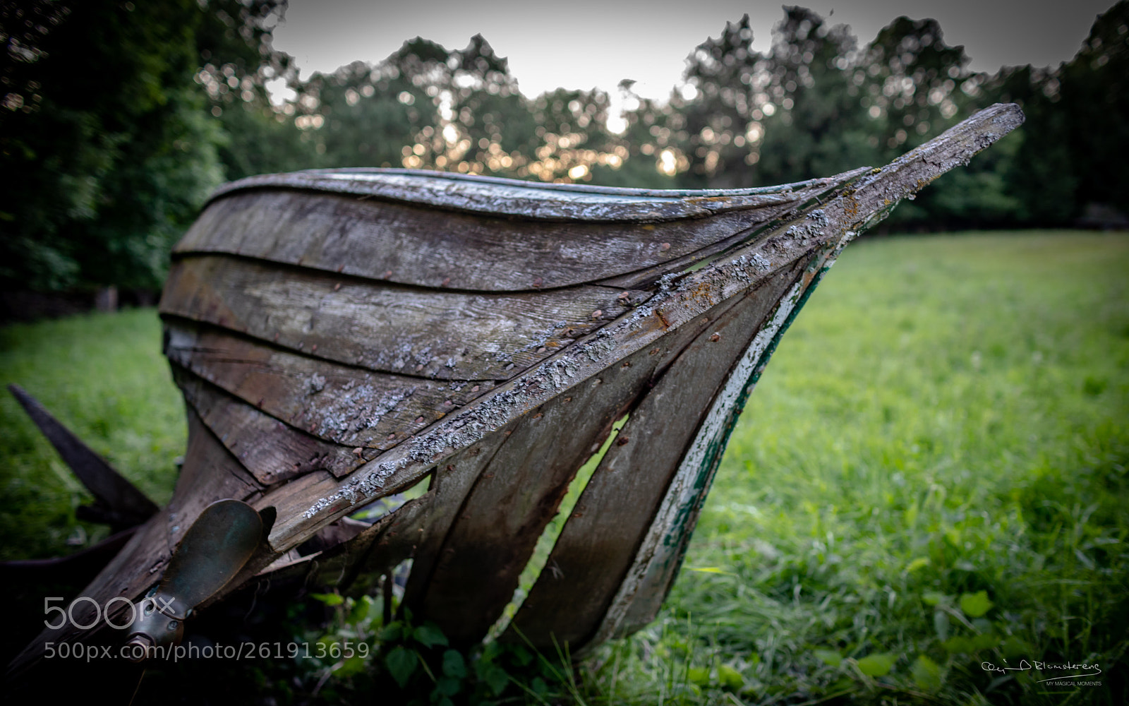 Canon EOS 5D Mark IV sample photo. Nothing lasts forever... photography