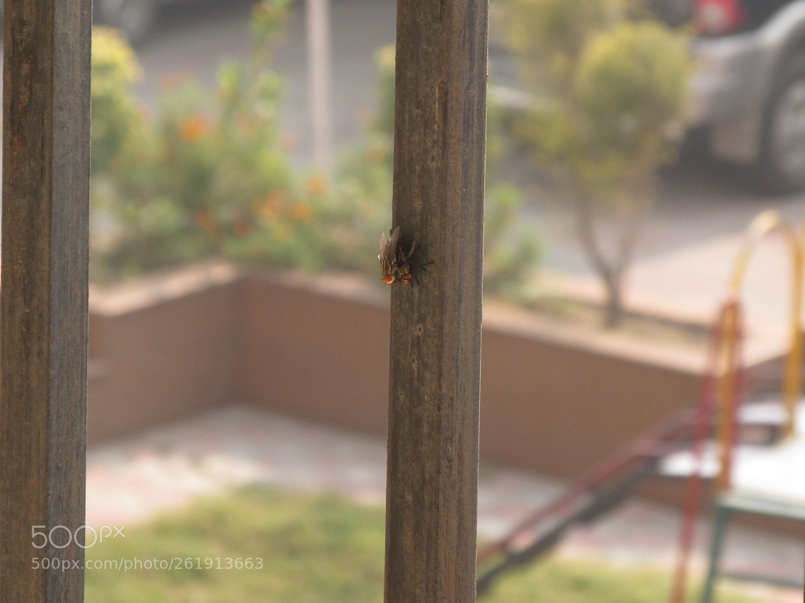 Canon PowerShot SX150 IS sample photo. Picture perfect photography