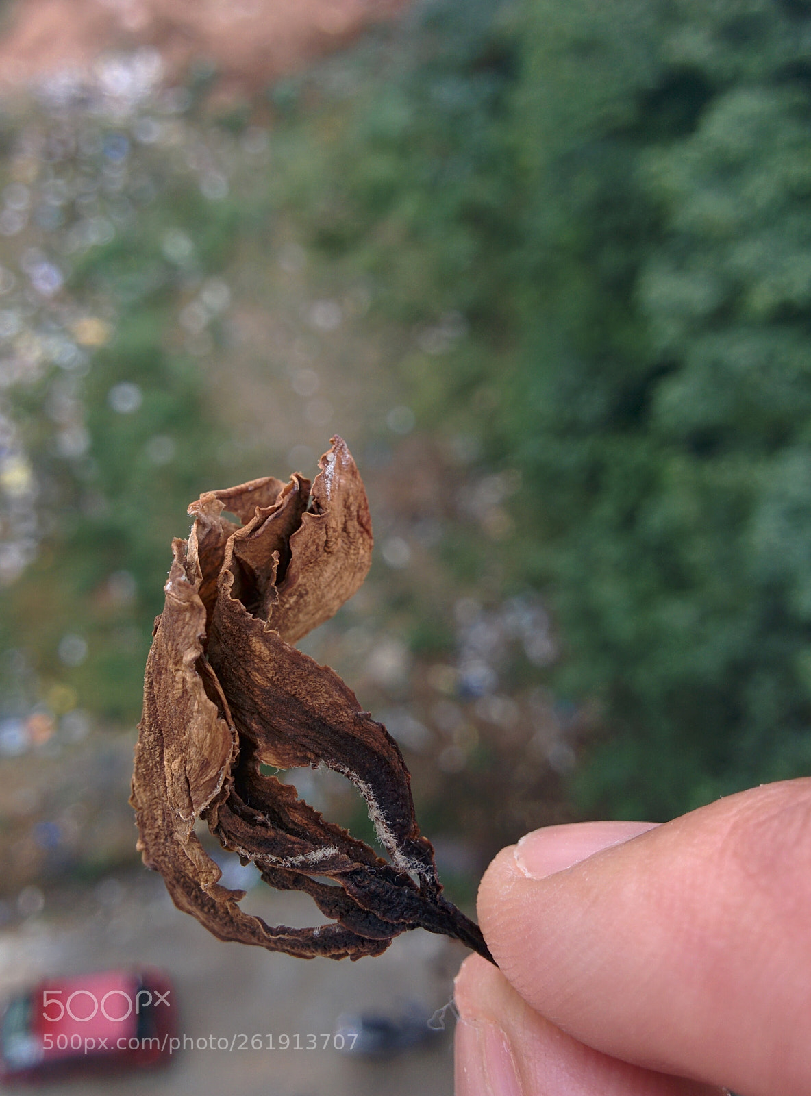 LG Nexus 5 sample photo. Nexus 5...still holds good photography