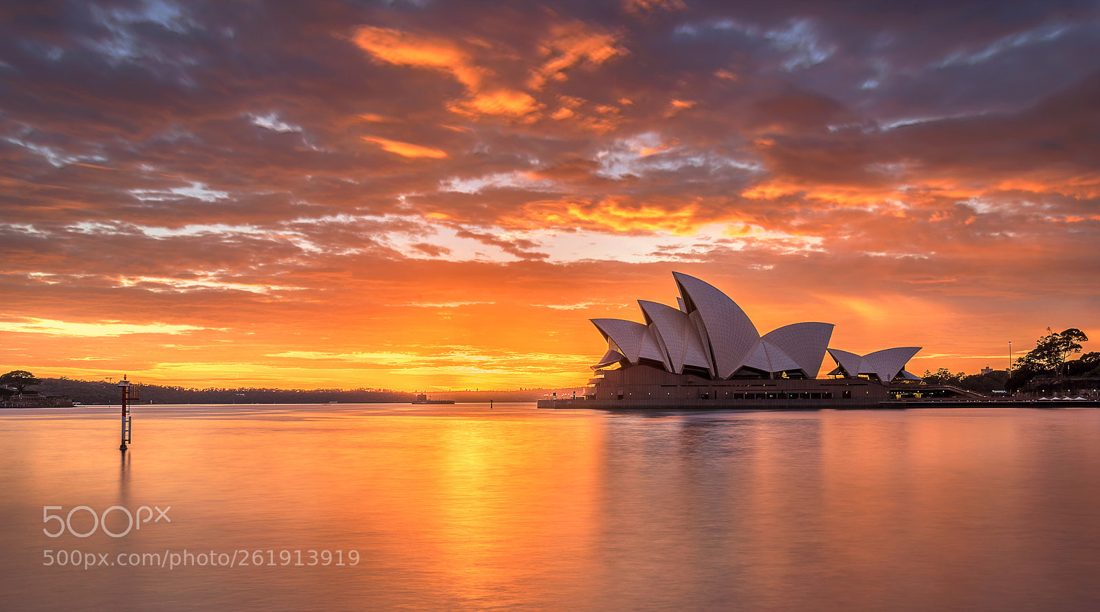 Nikon D810 sample photo. Sydney harbour #7 photography