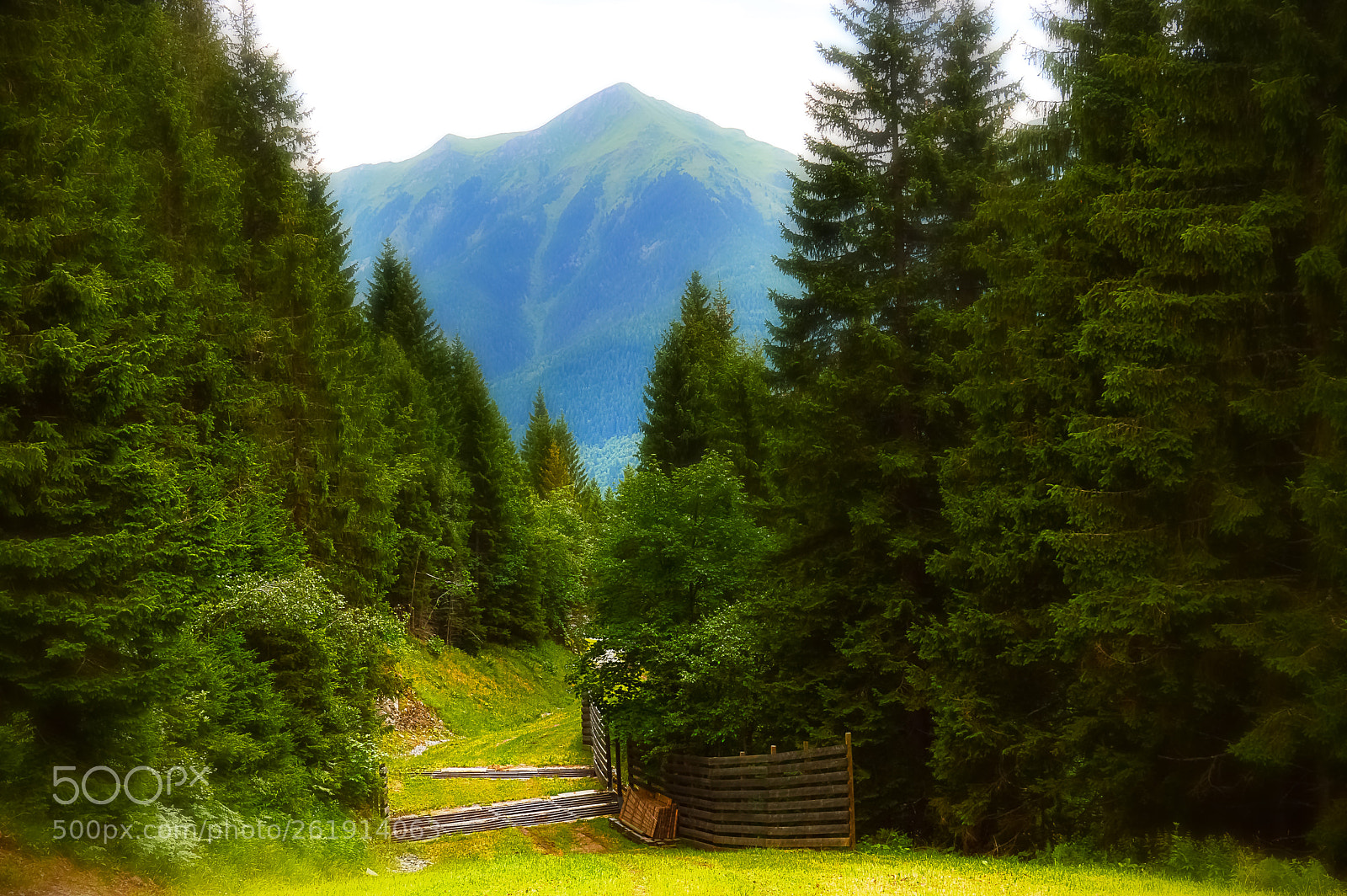 Nikon D3200 sample photo. Bad gastein photography