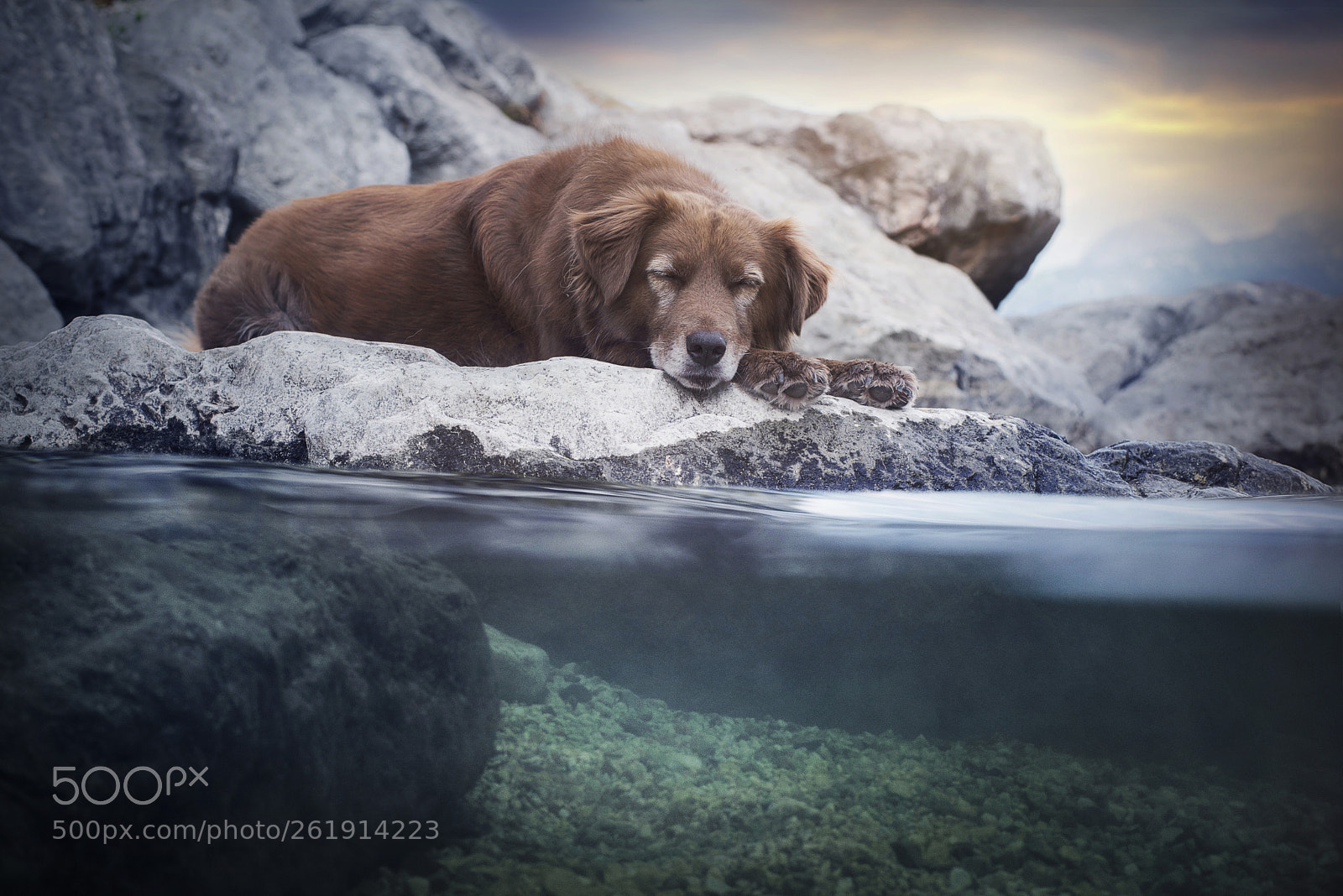 Nikon D750 sample photo. - underwater - photography