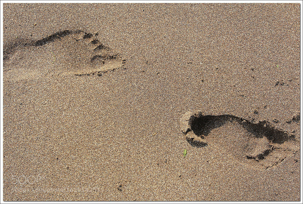 Canon EOS 60D sample photo. 발바닥(sole of the foot) photography