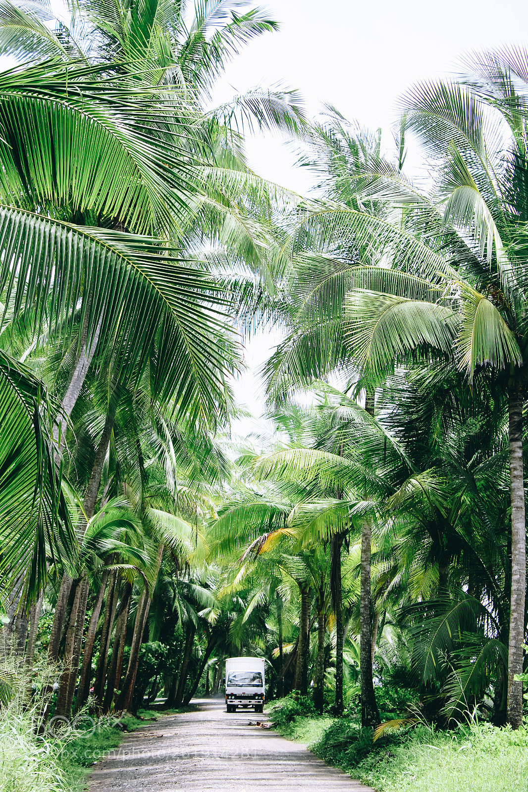 Canon EOS 1300D (EOS Rebel T6 / EOS Kiss X80) sample photo. Wild costa rica photography