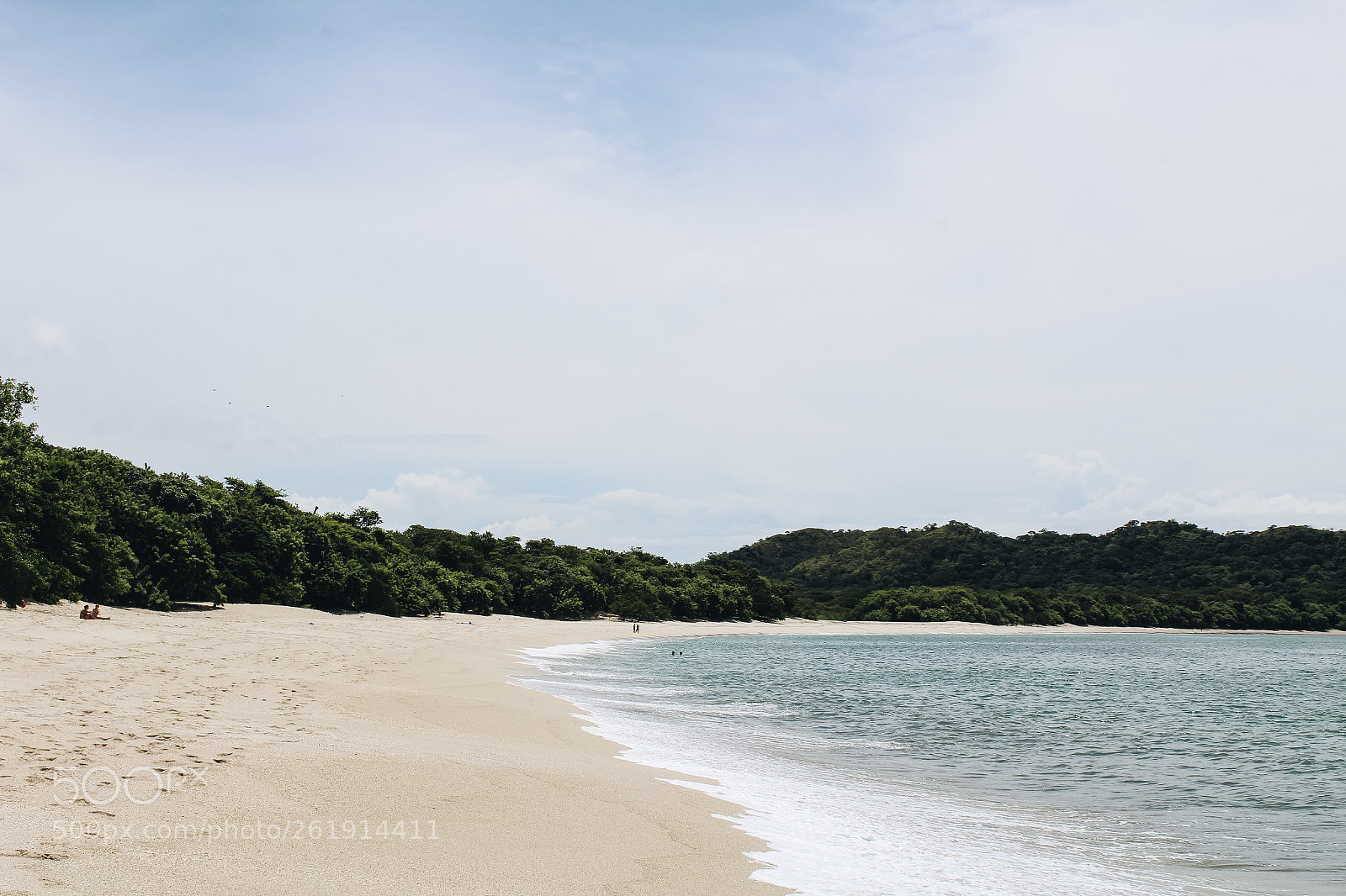 Canon EOS 1300D (EOS Rebel T6 / EOS Kiss X80) sample photo. Wild costa rica photography