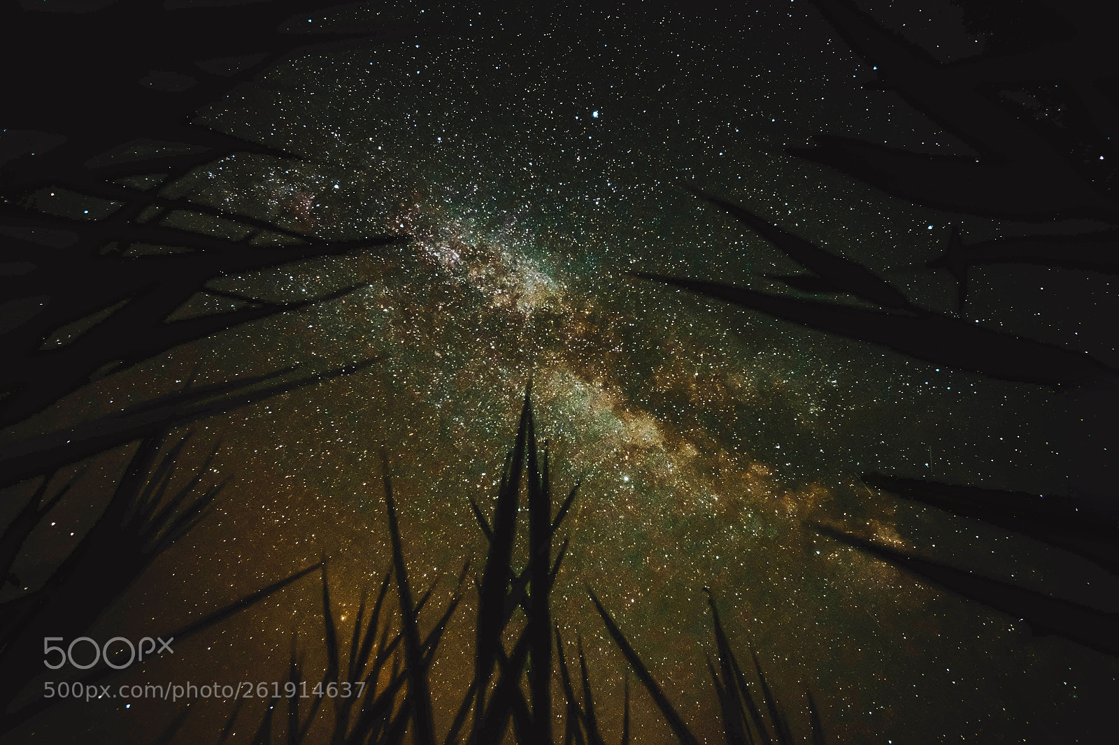 Fujifilm X-T2 sample photo. Milky way wildness photography