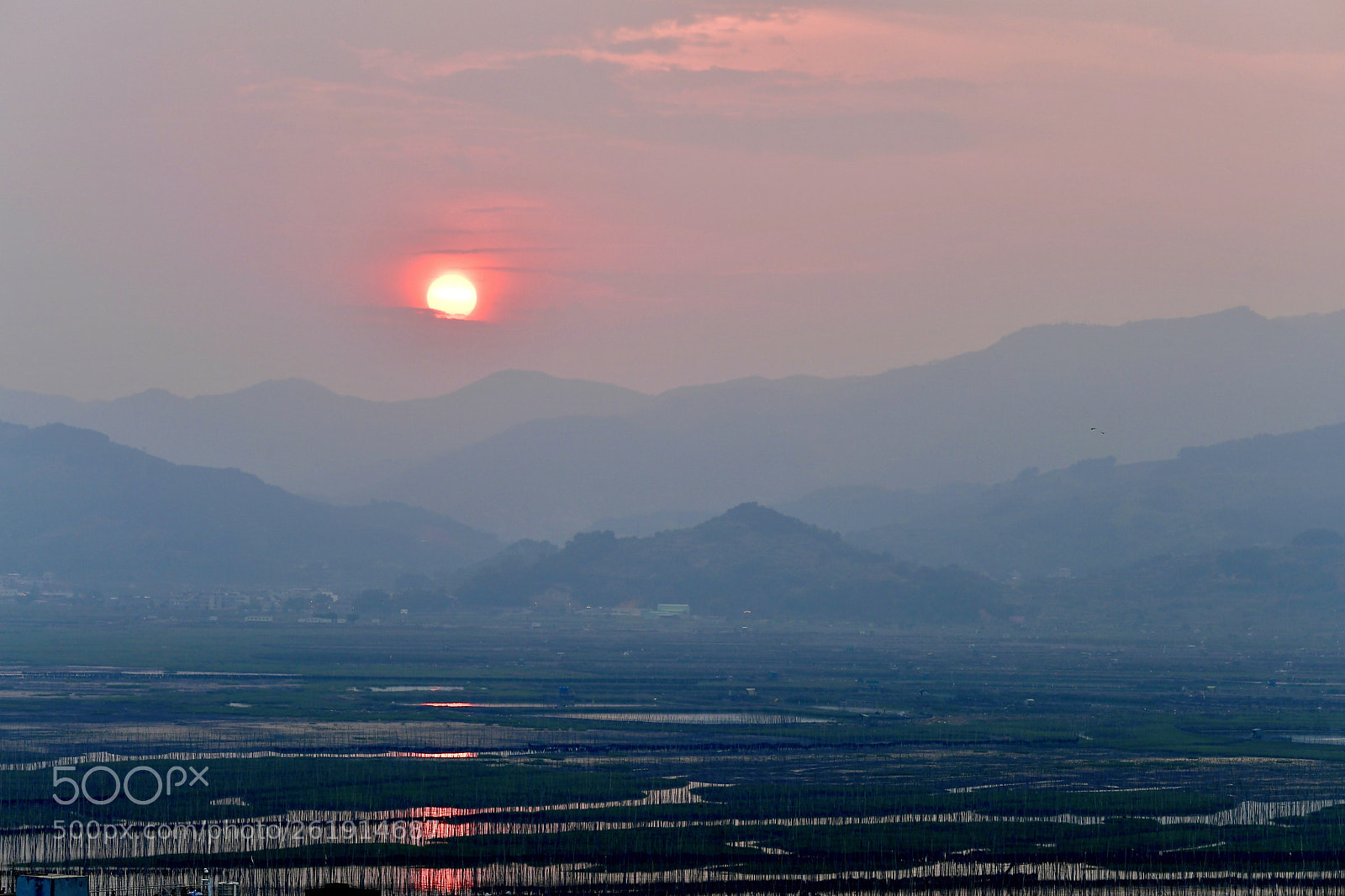 Nikon D5 sample photo. Sunset cast on river  photography