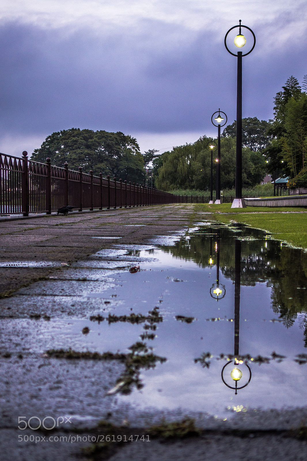 Sony Cyber-shot DSC-RX100 sample photo. After the rain photography