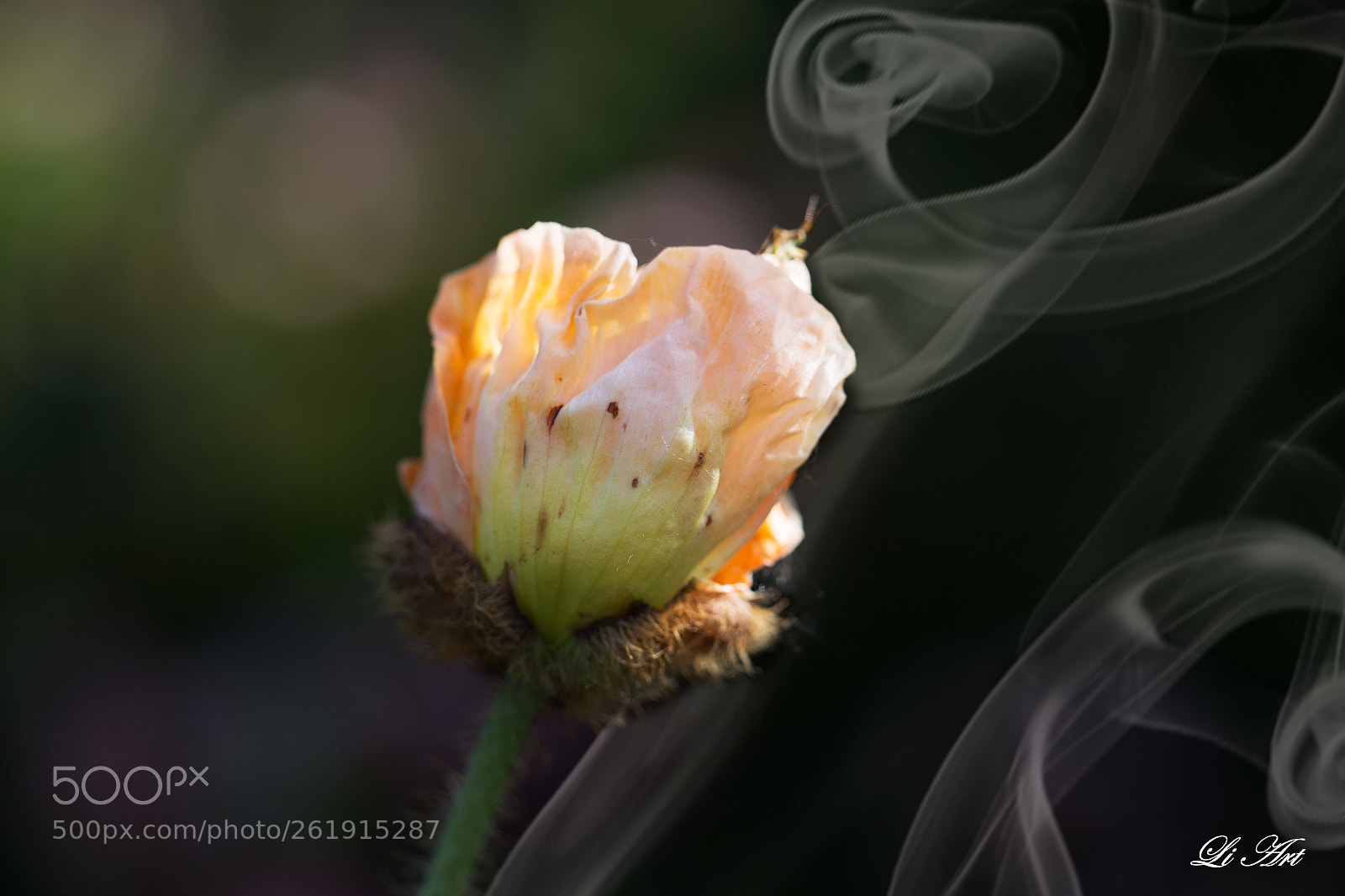Canon EOS 6D sample photo. Untitled photography