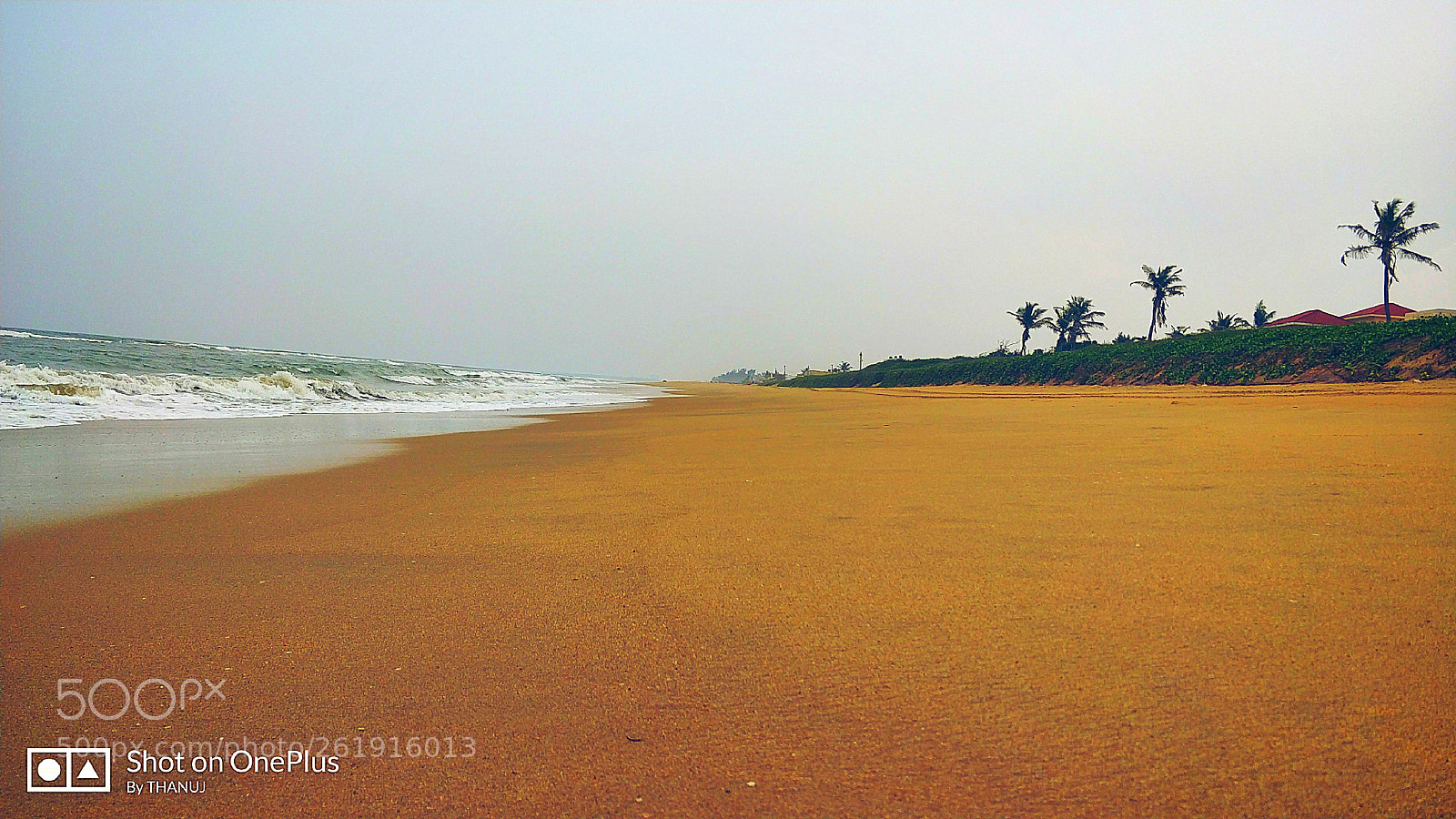 OnePlus 5 sample photo. Untitled photography