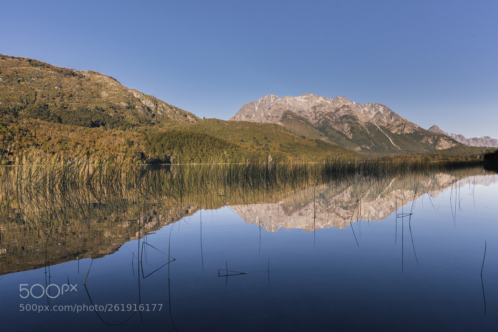 Nikon D810 sample photo. Lago hess photography