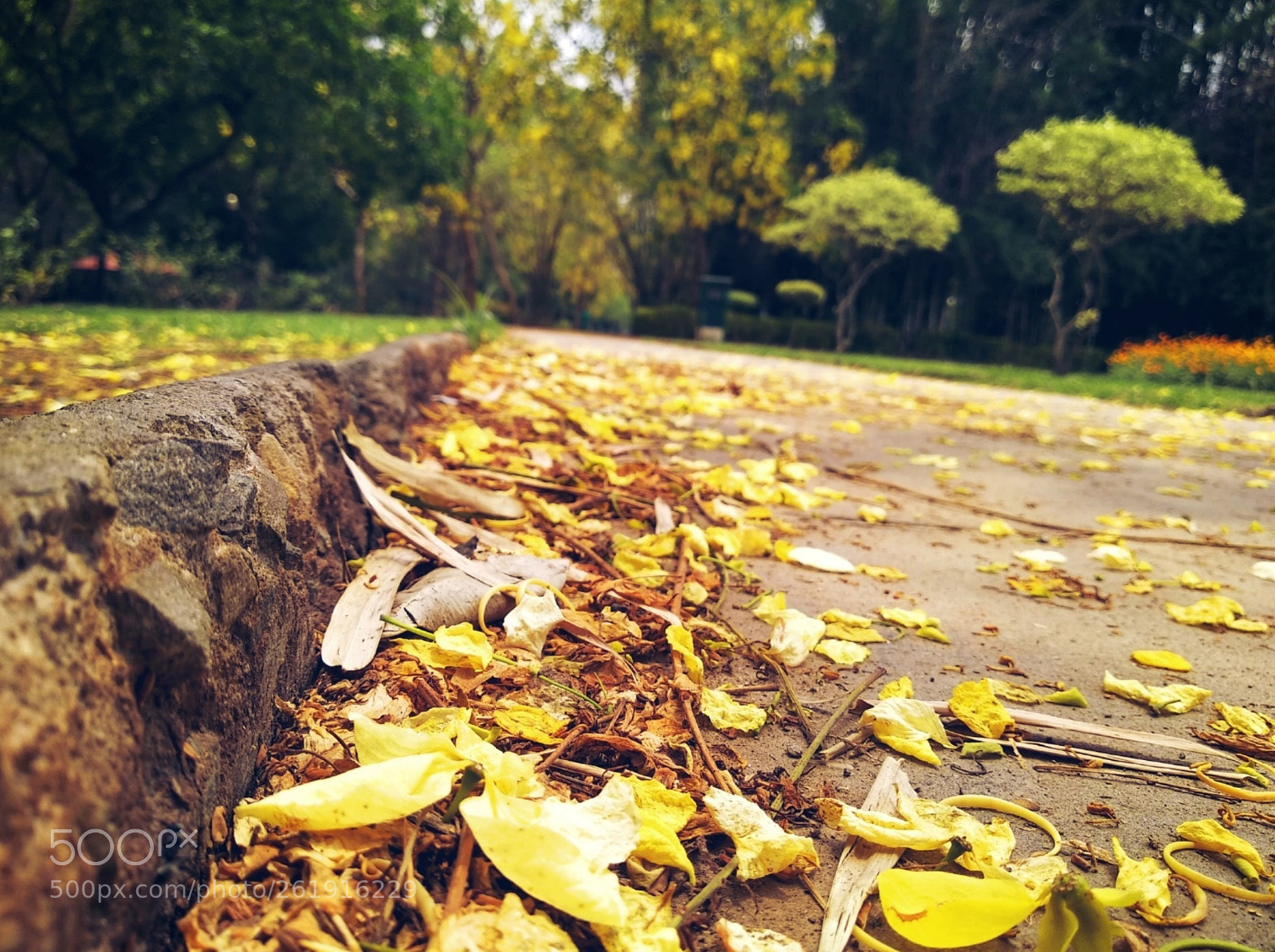 Xiaomi Redmi 5 sample photo. Untitled photography