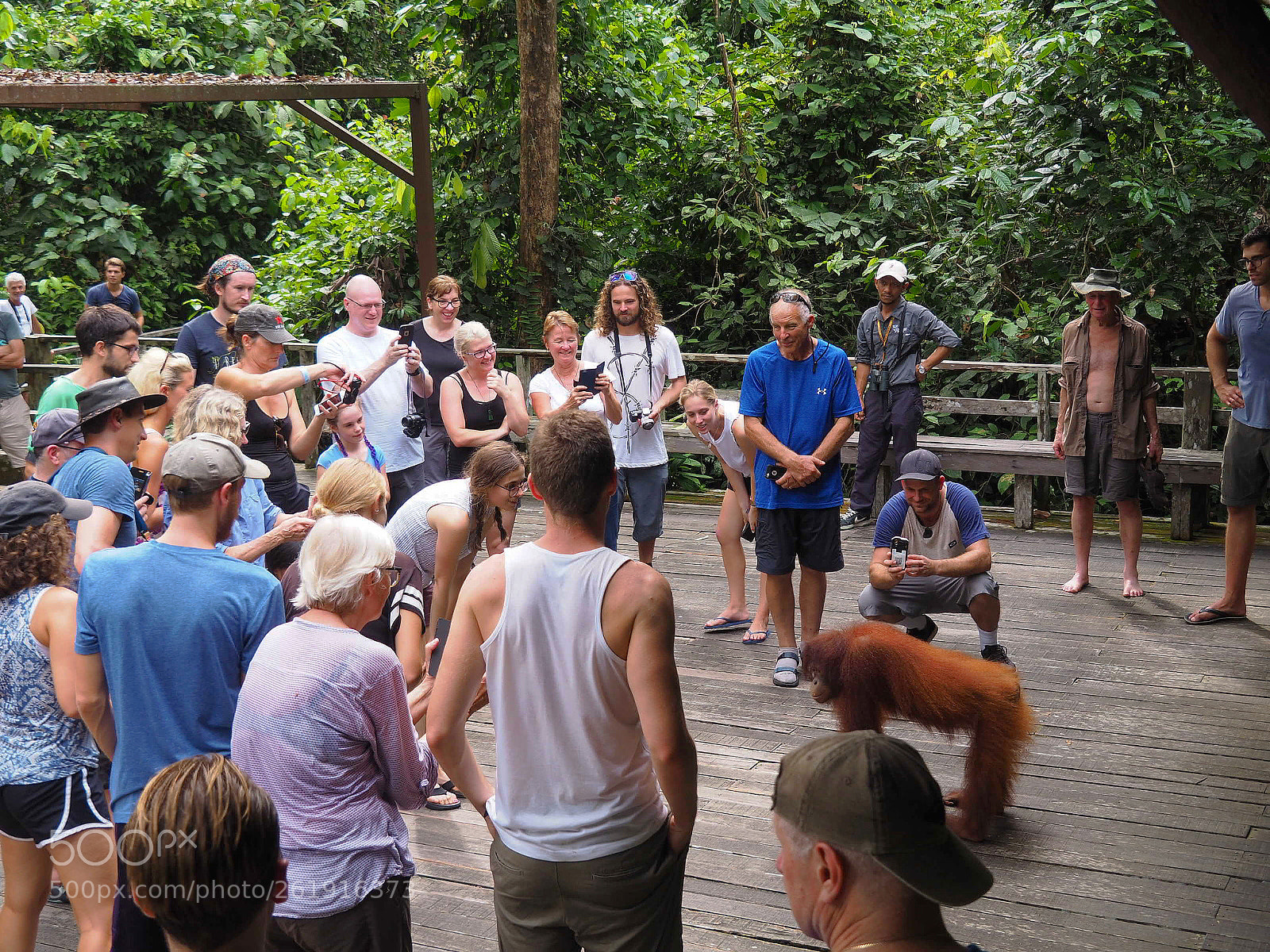Olympus OM-D E-M10 II sample photo. Orangutan in the crowd photography