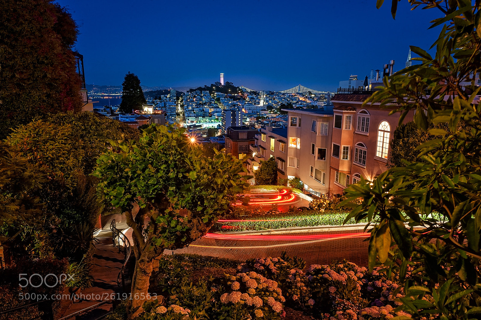Nikon D3 sample photo. Streets of sf photography